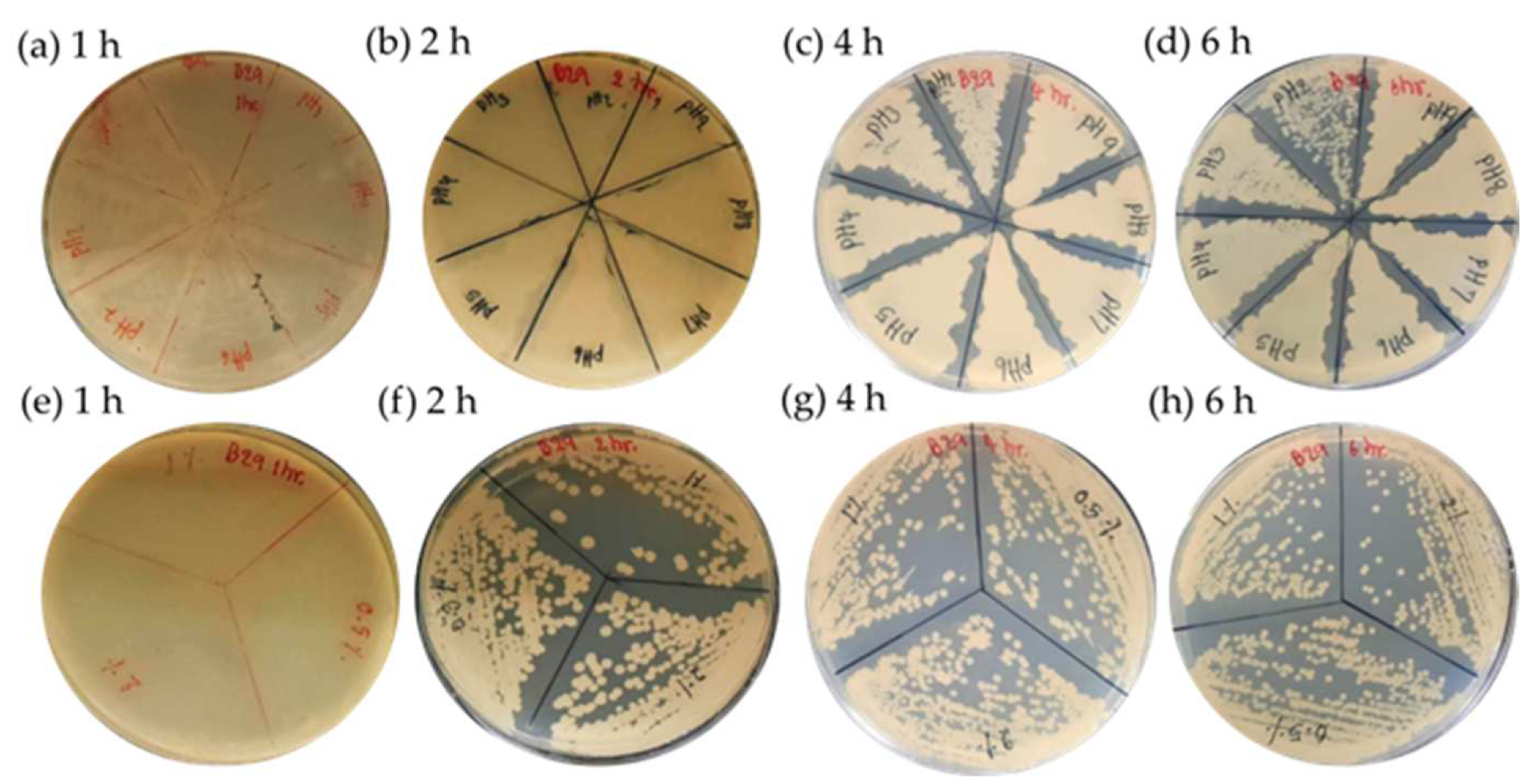 Animals 13 00986 g003