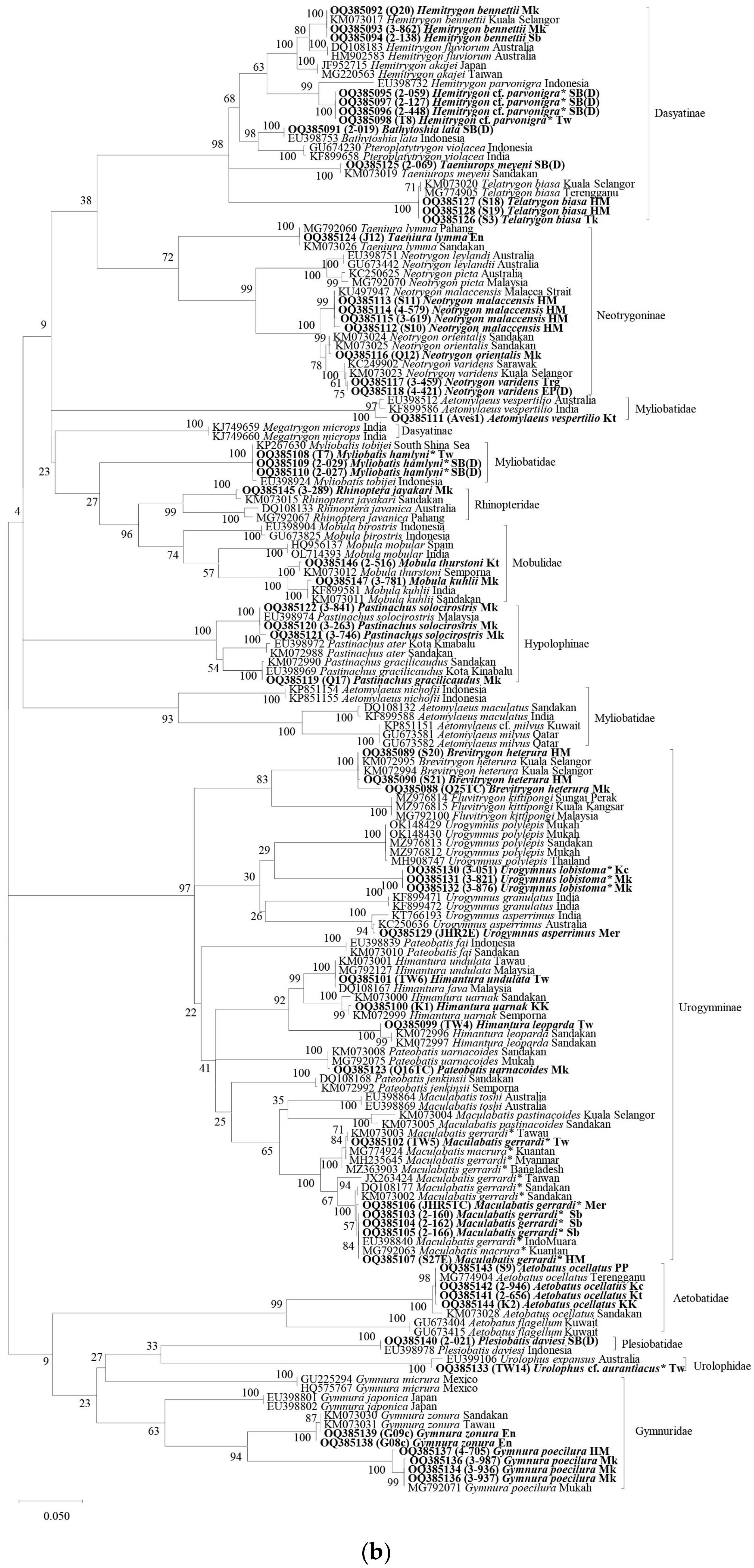 Animals 13 01002 g002b