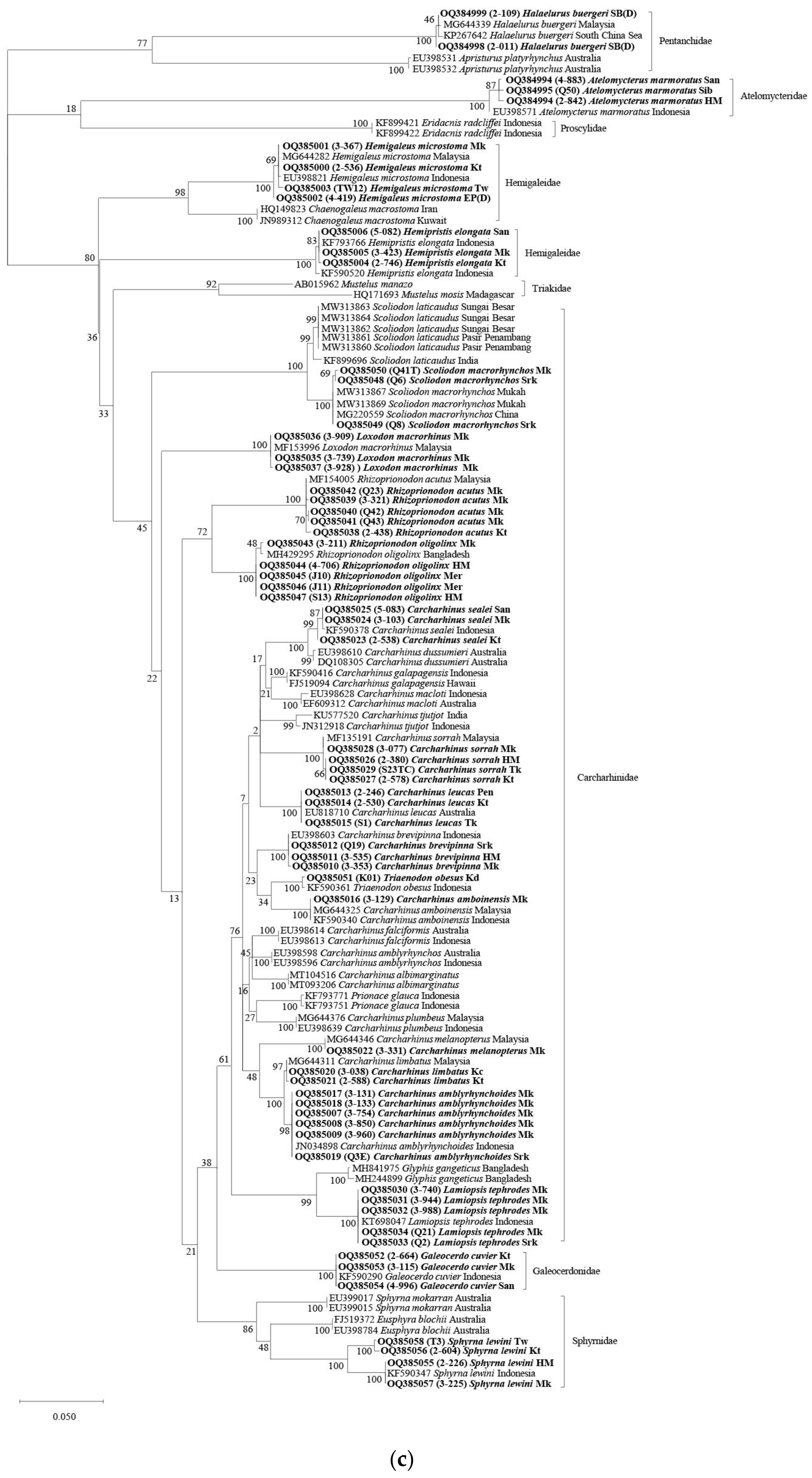 Animals 13 01002 g002c