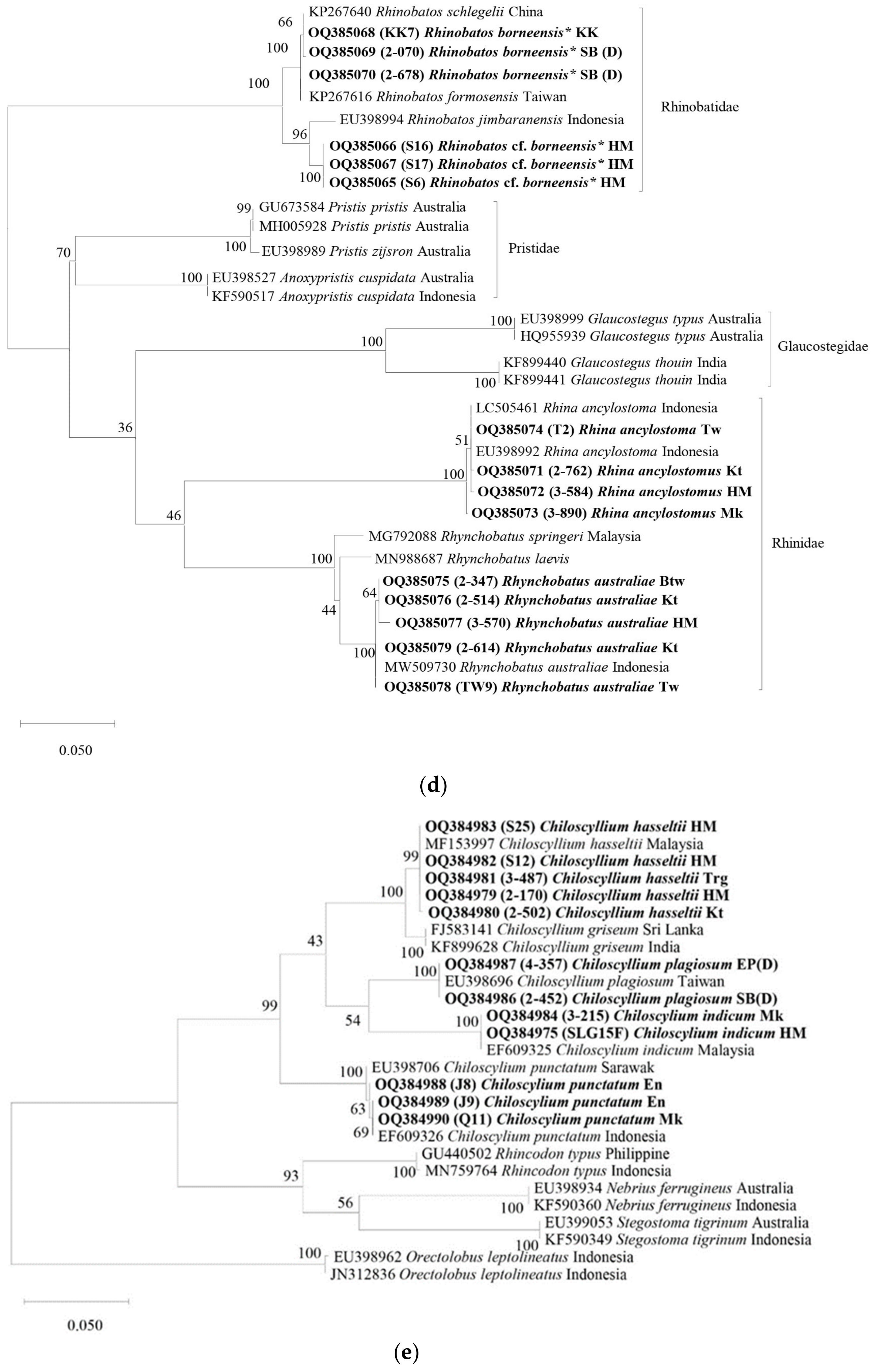 Animals 13 01002 g002d