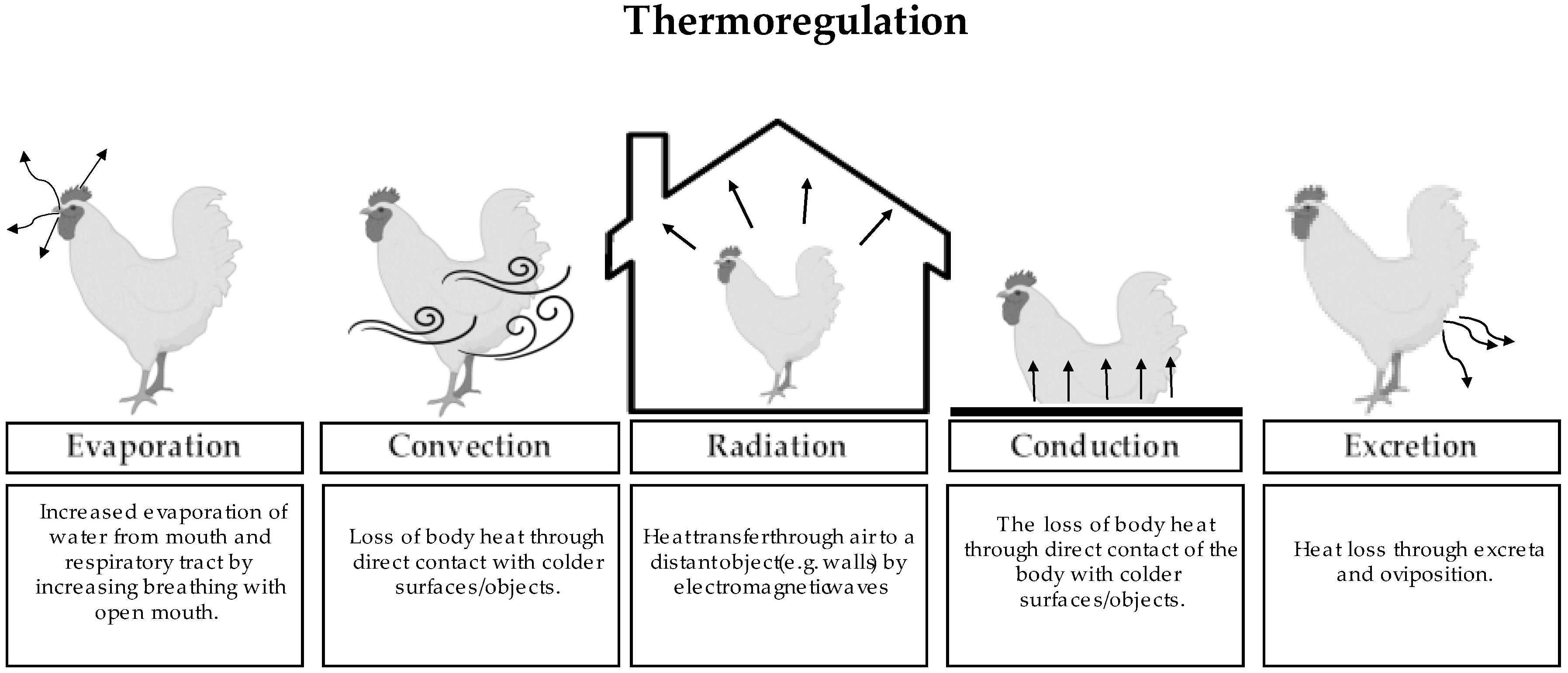 Animals 13 01007 g001 Animals 13 01007 g001