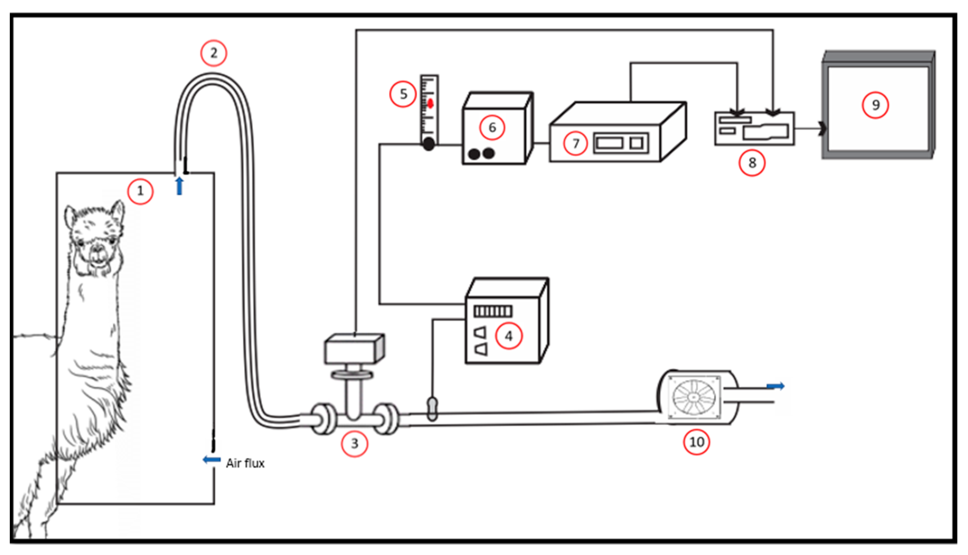 Animals 13 01011 g002