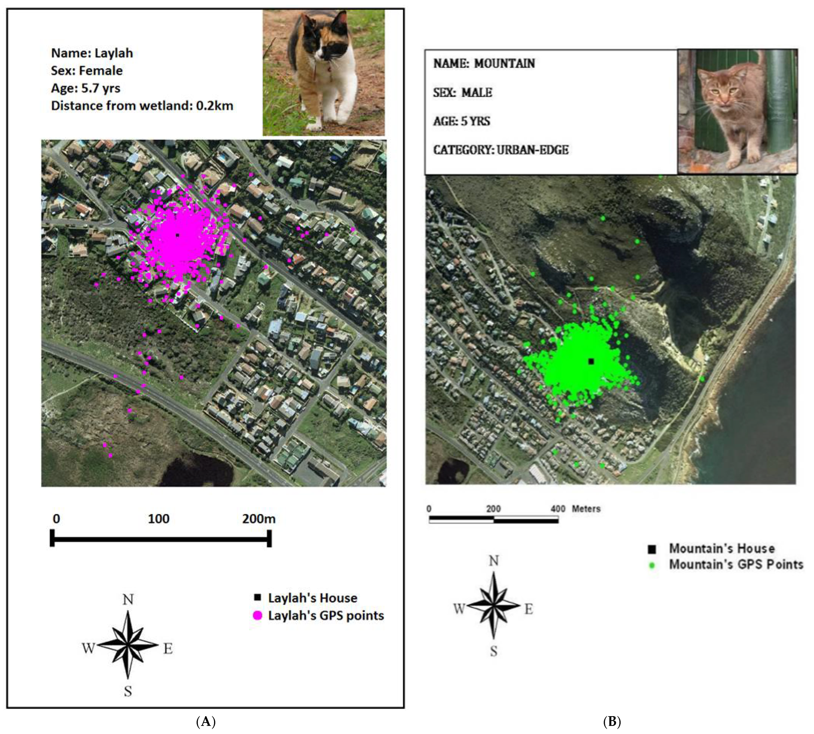 Animals 13 01013 g002 Animals 13 01013 g002