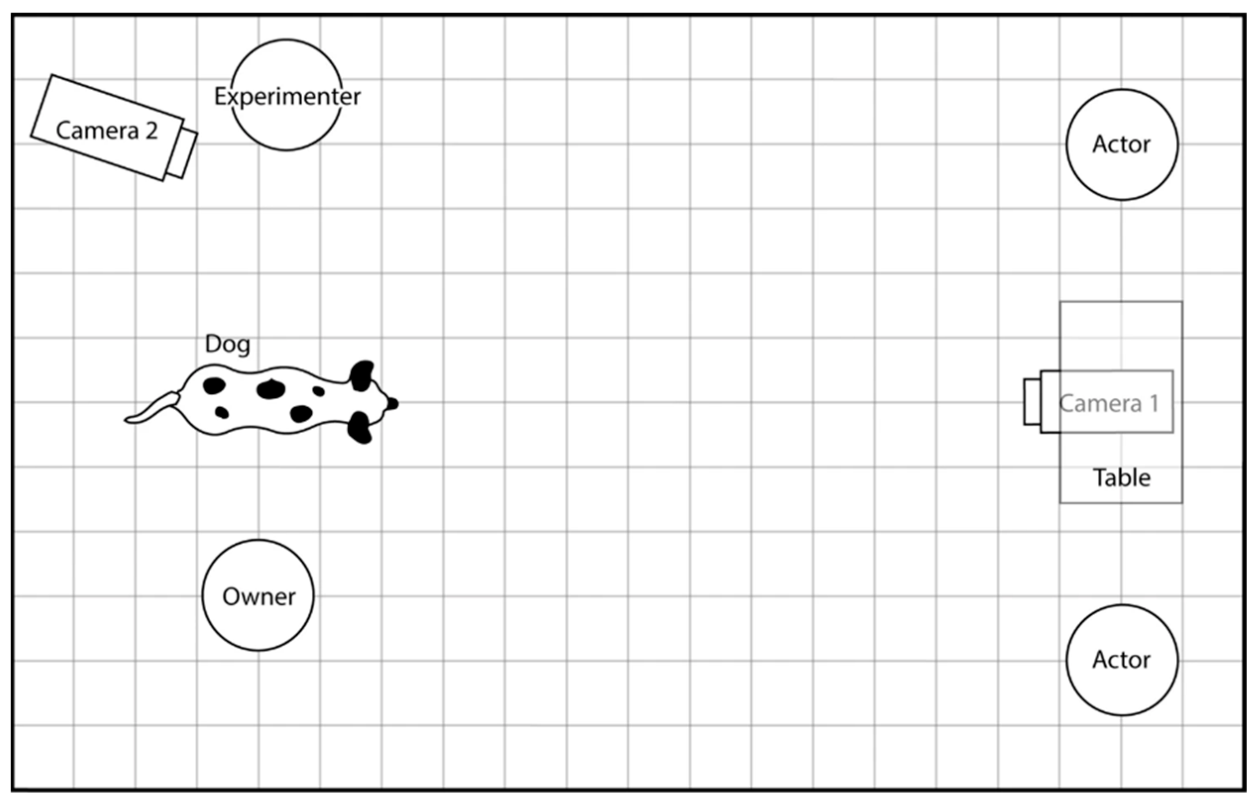 Animals 13 01027 g001 Animals 13 01027 g001