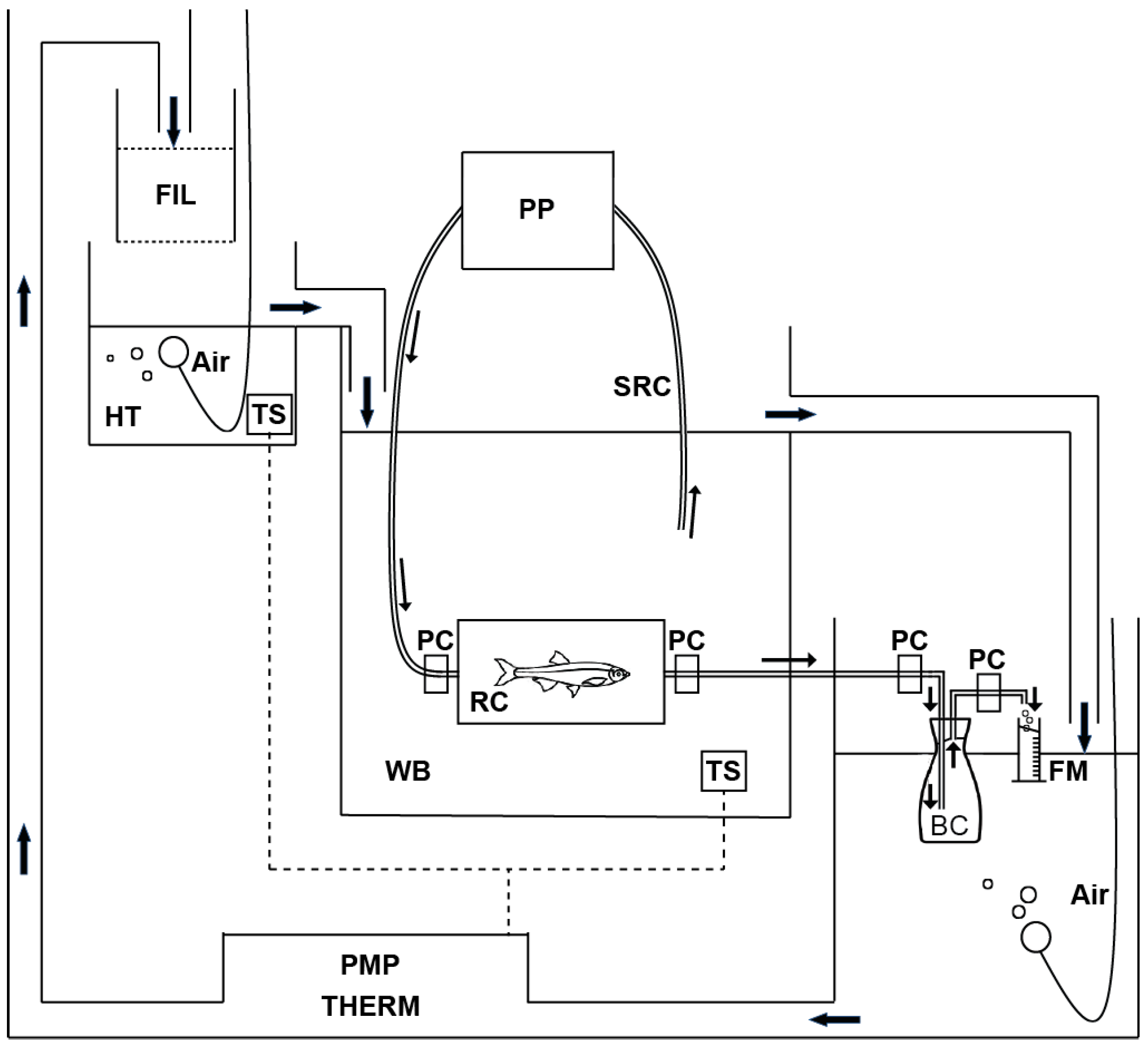 Animals 13 01035 g001 Animals 13 01035 g001