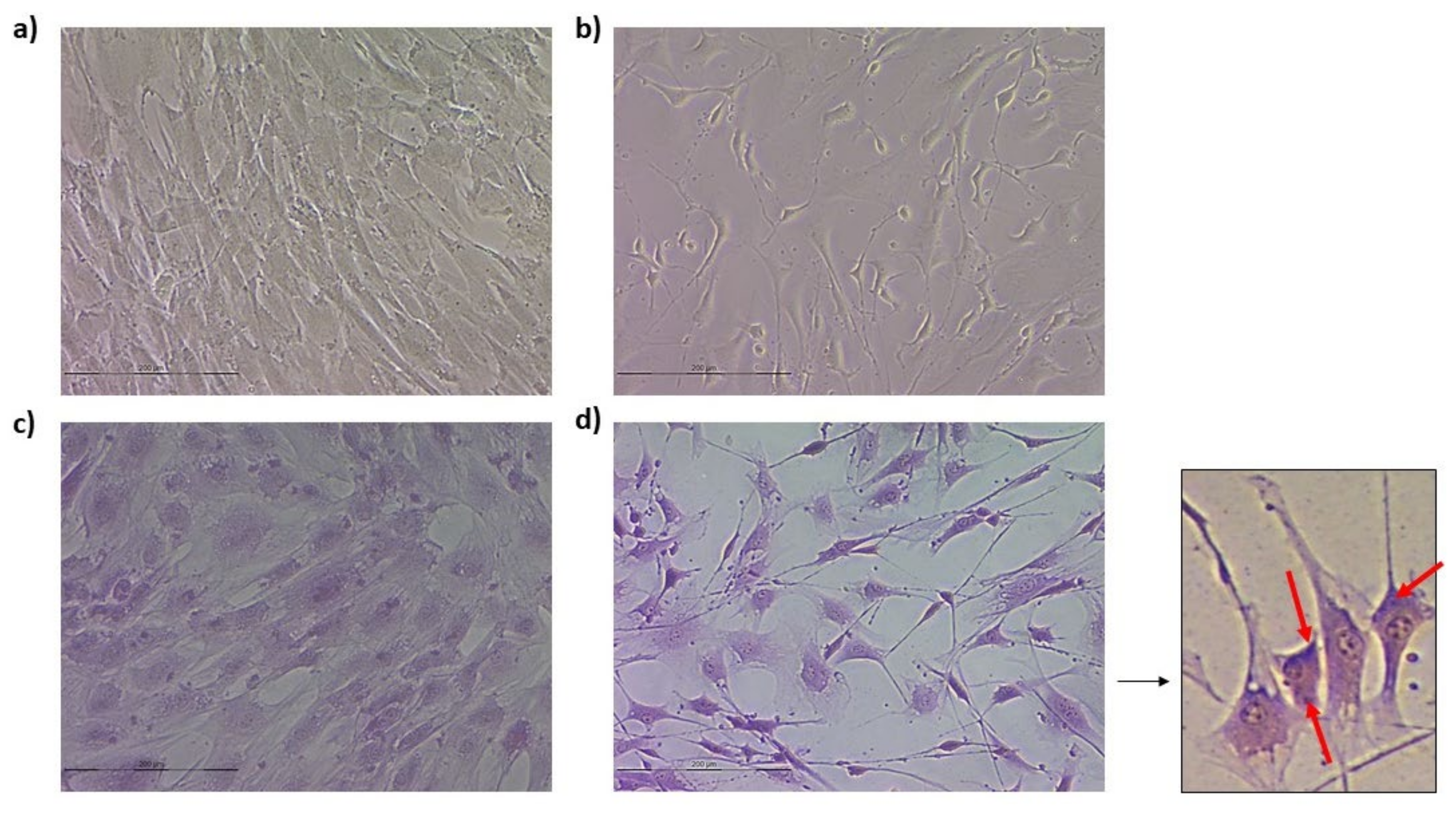 Animals 13 01043 g004