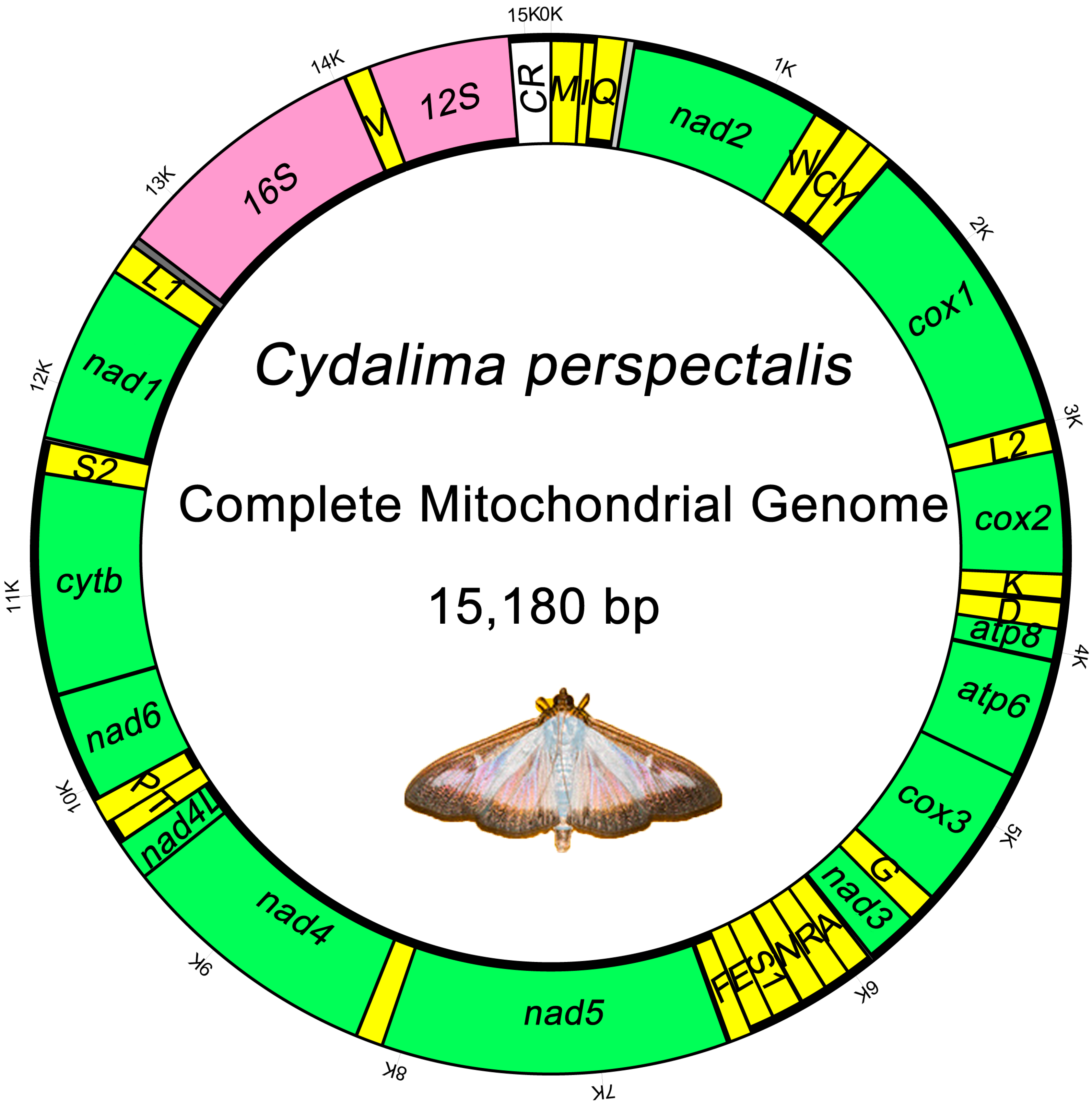 https://www.mdpi.com/animals/animals-13-01045/article_deploy/html/images/animals-13-01045-g001.png