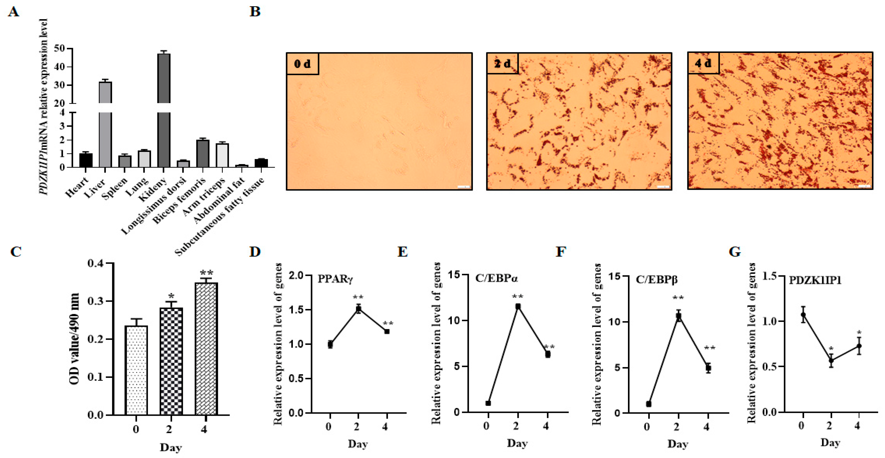 Animals 13 01046 g001