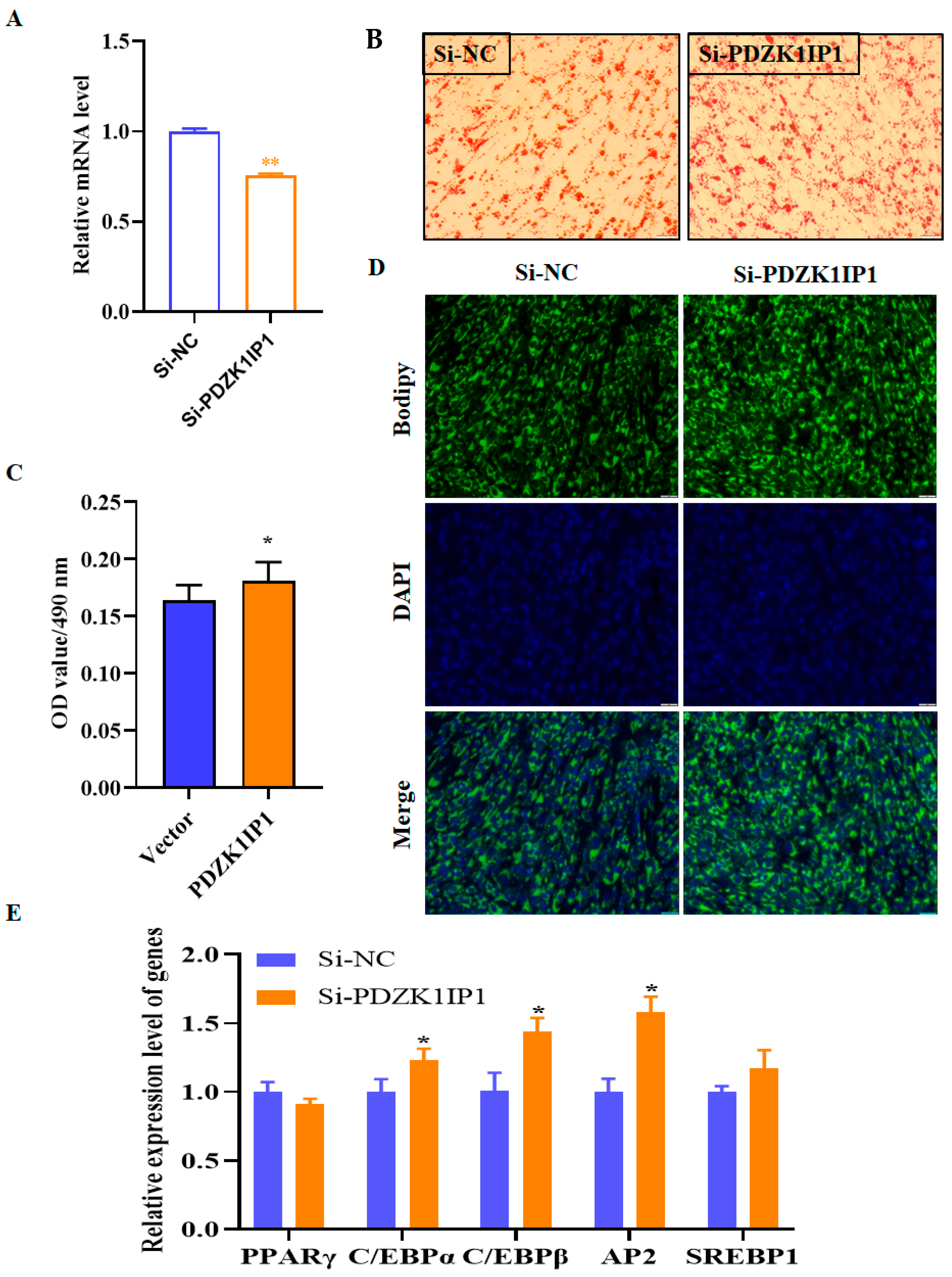 Animals 13 01046 g003