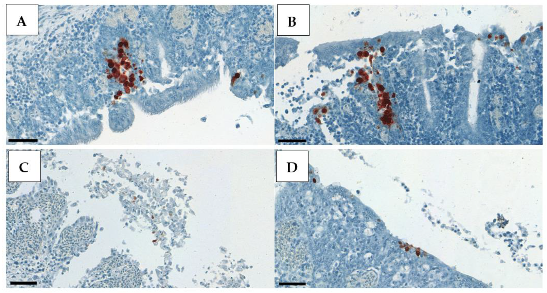 Animals 13 01052 g003