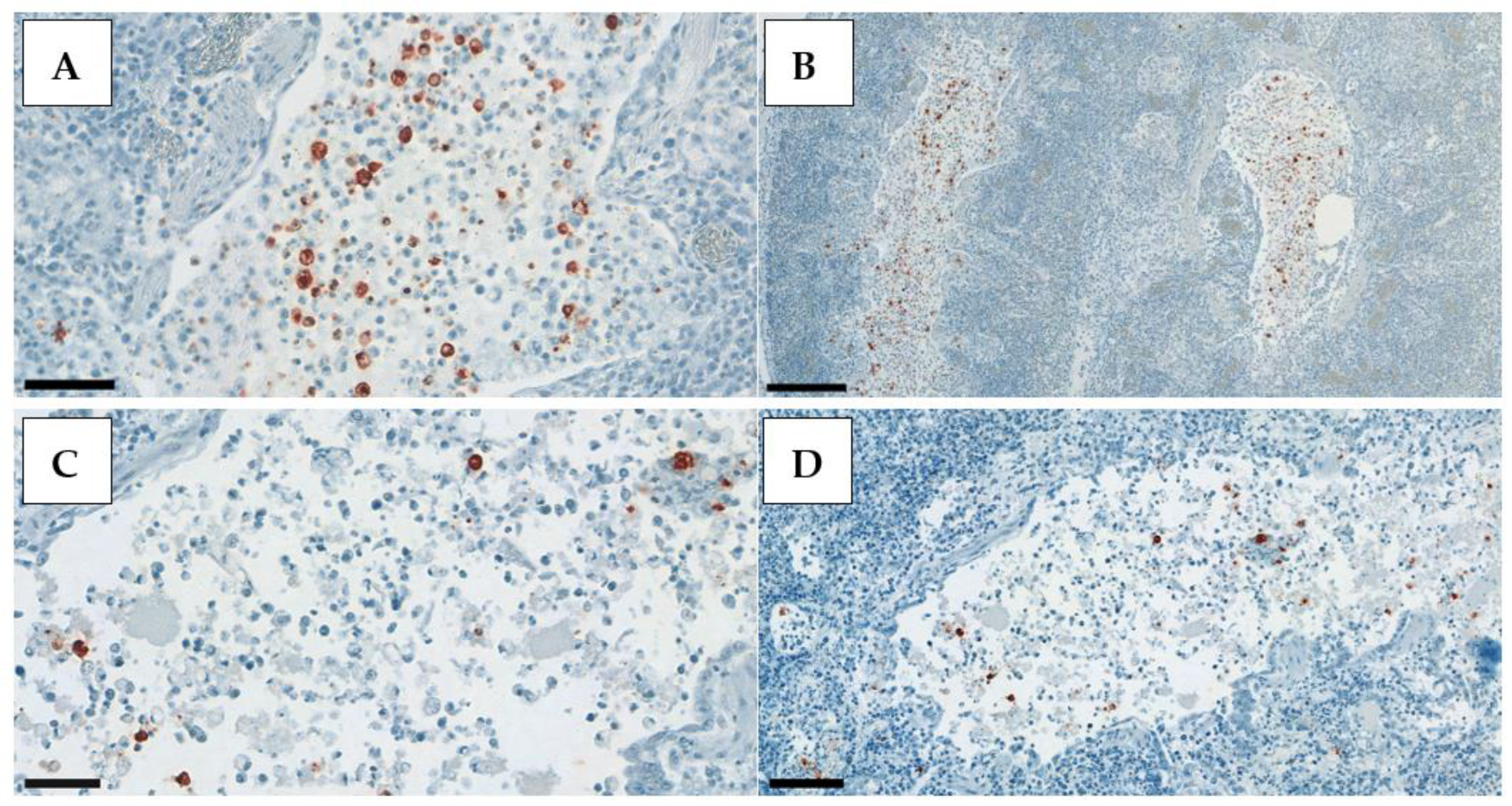 Animals 13 01052 g004