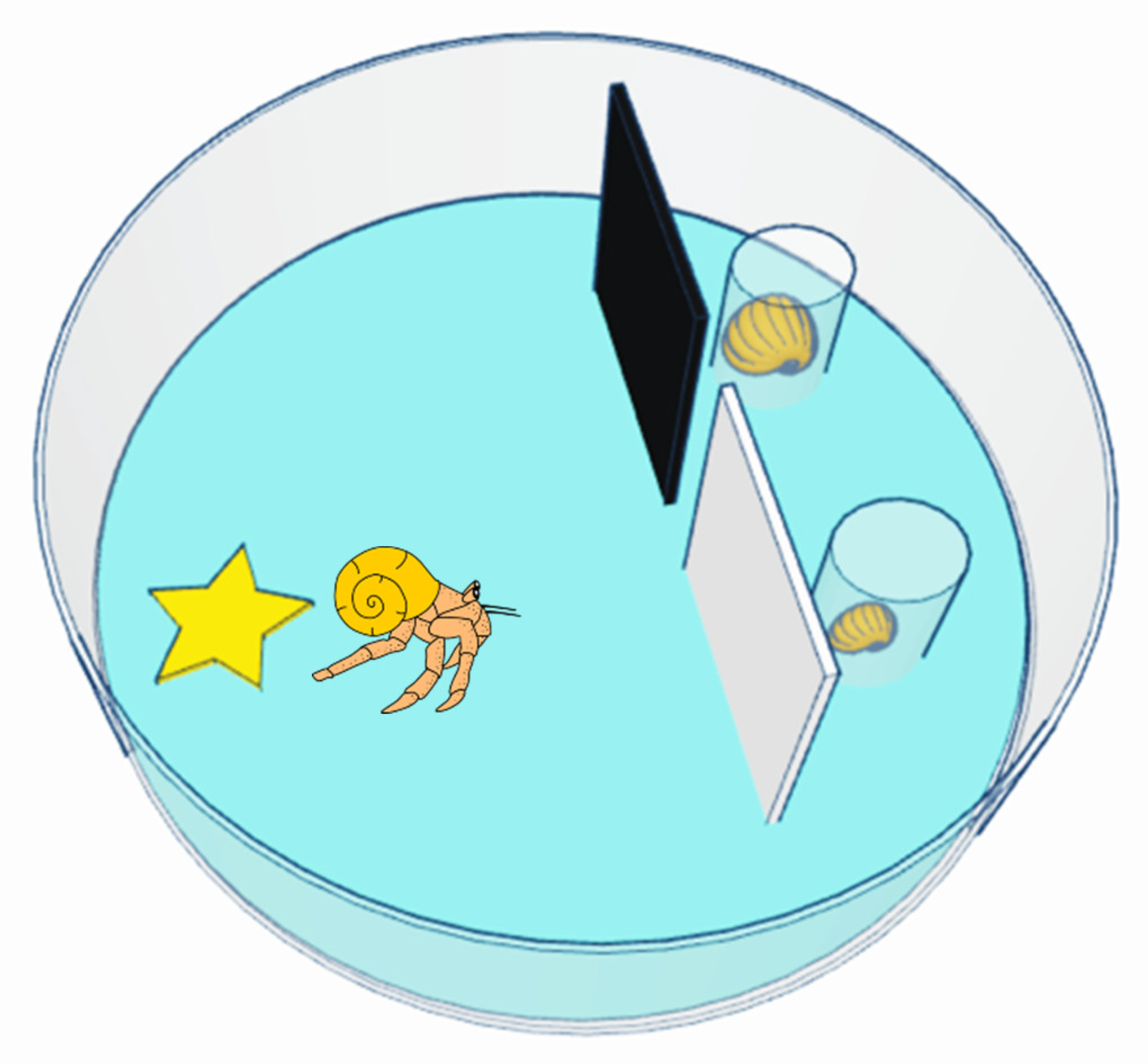 Animals 13 01055 g001 Animals 13 01055 g001