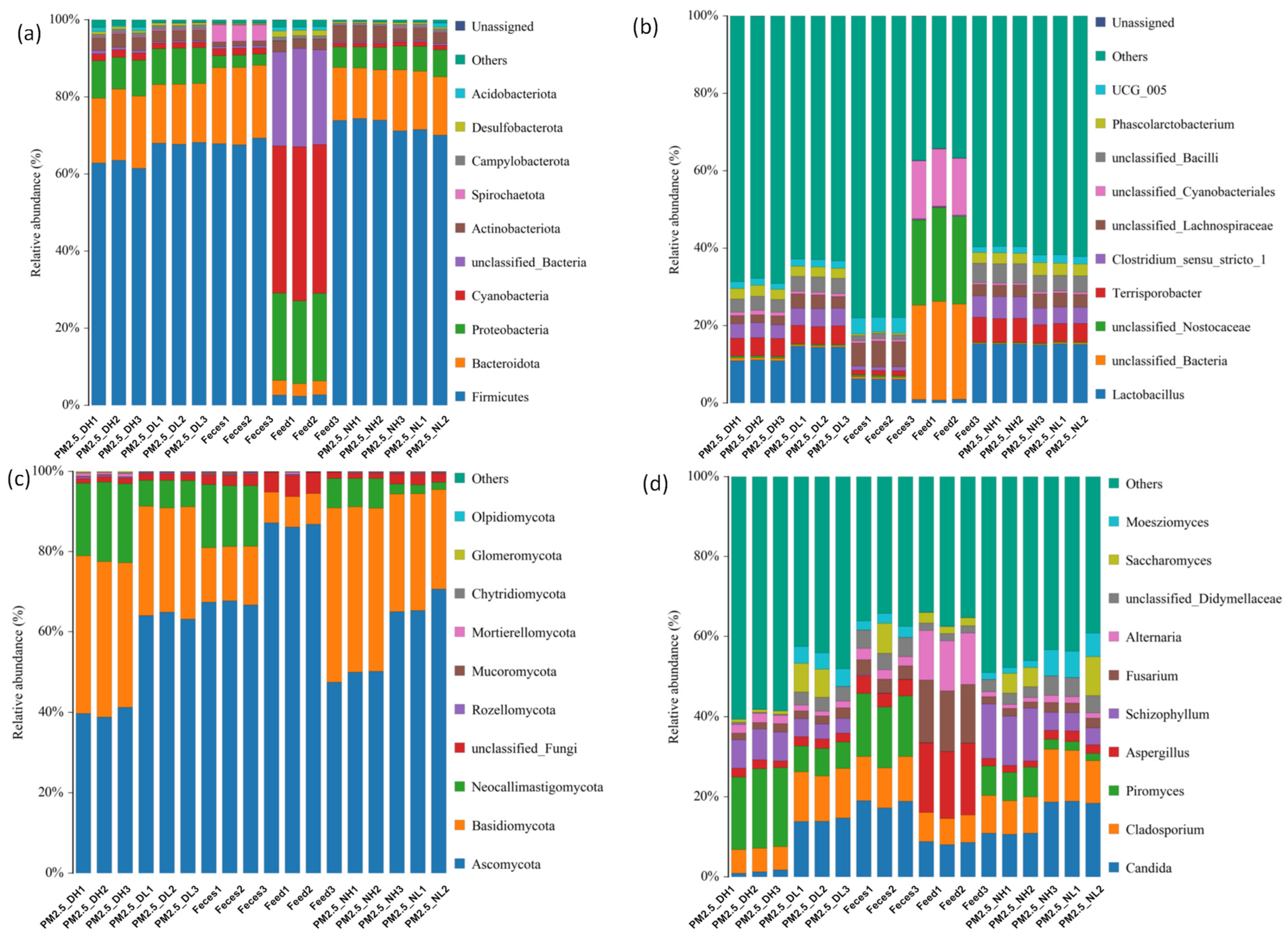 Animals 13 01058 g001