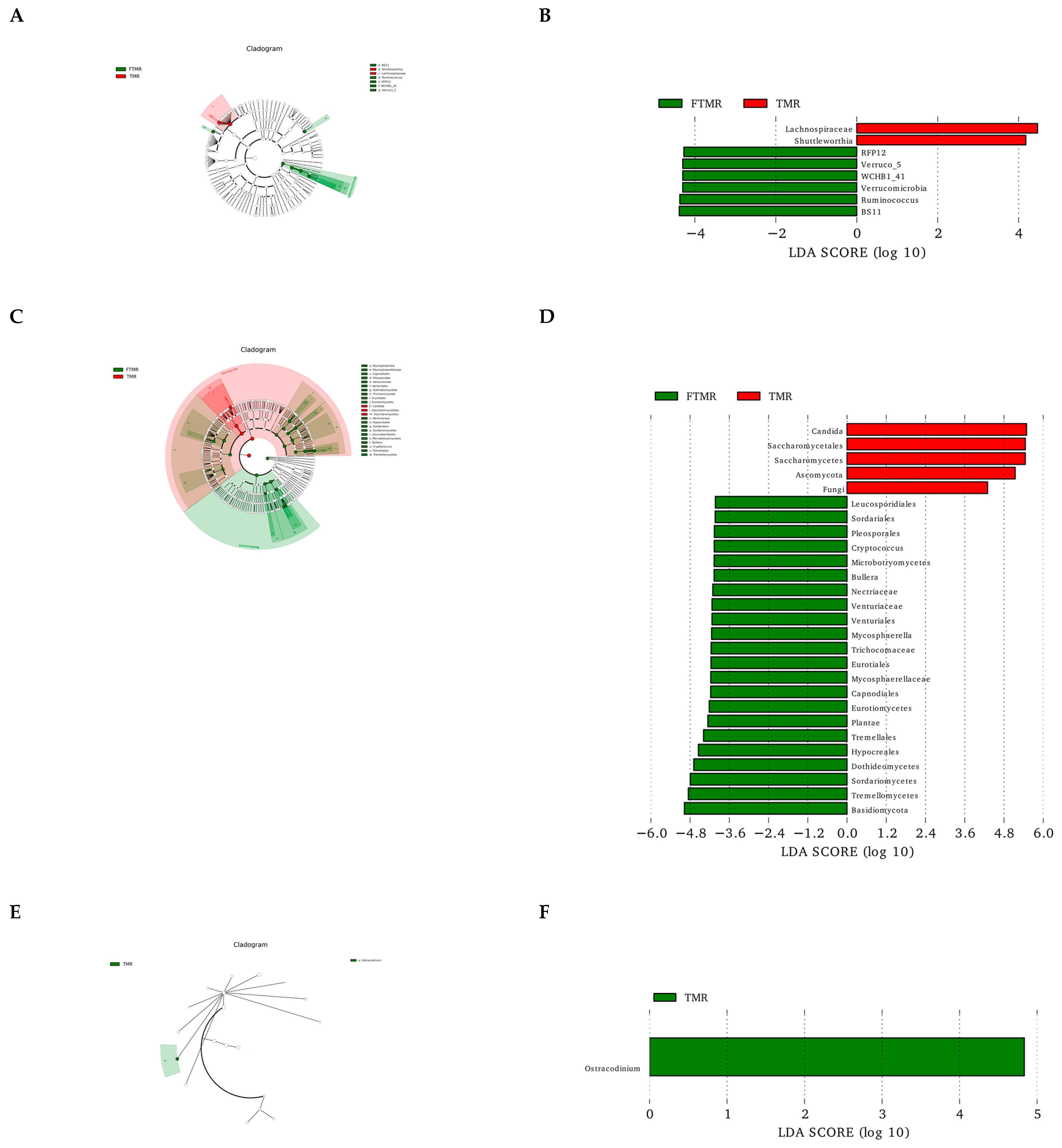 Animals 13 01062 g006