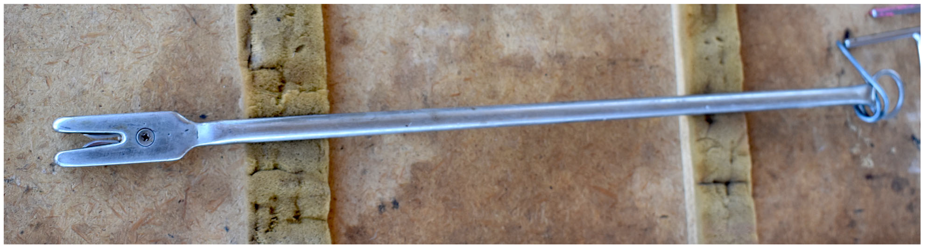 Animals 13 01066 g003