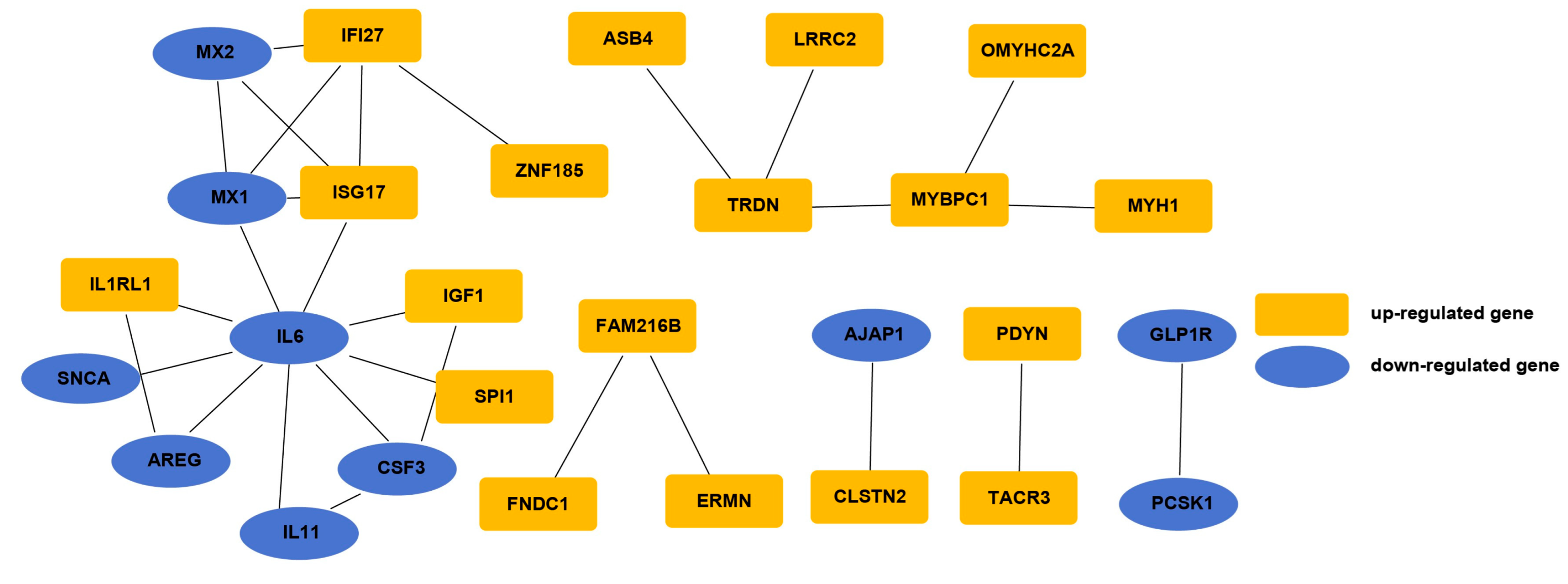 Animals 13 01076 g003 Animals 13 01076 g003