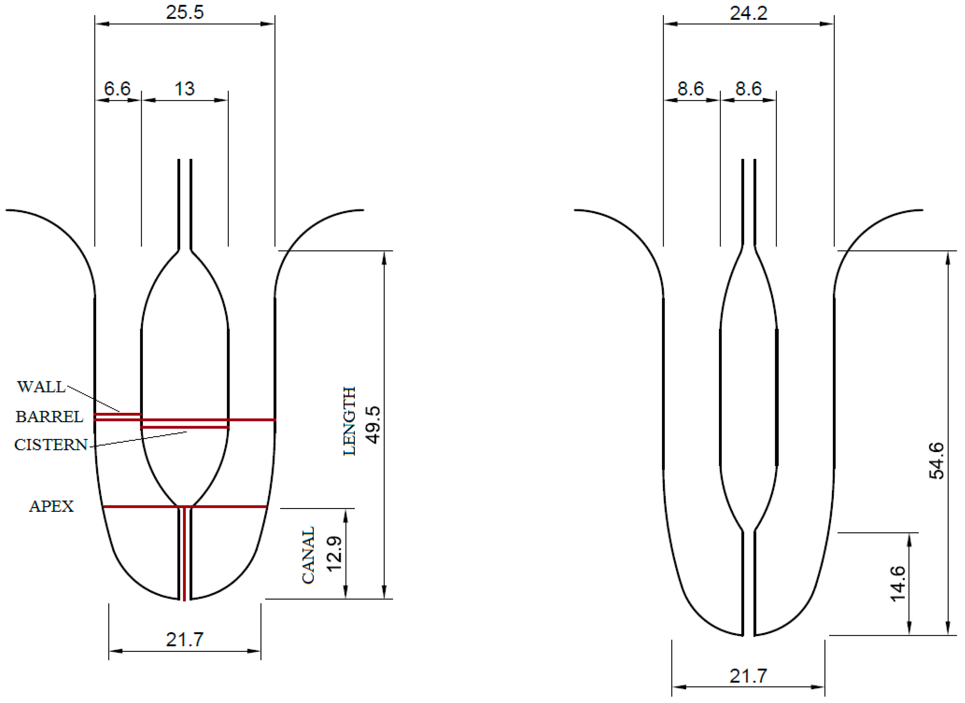 Animals 13 01085 g001