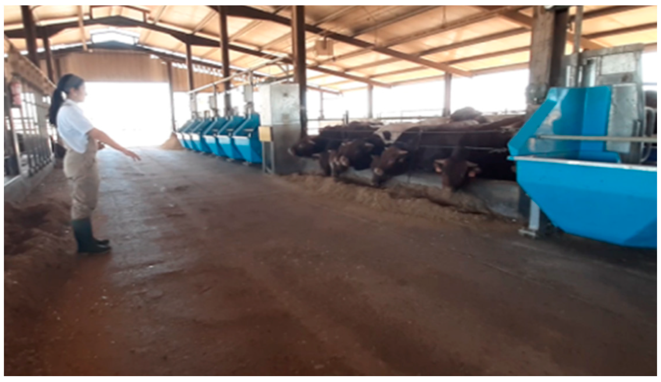 Animals 13 01087 g003