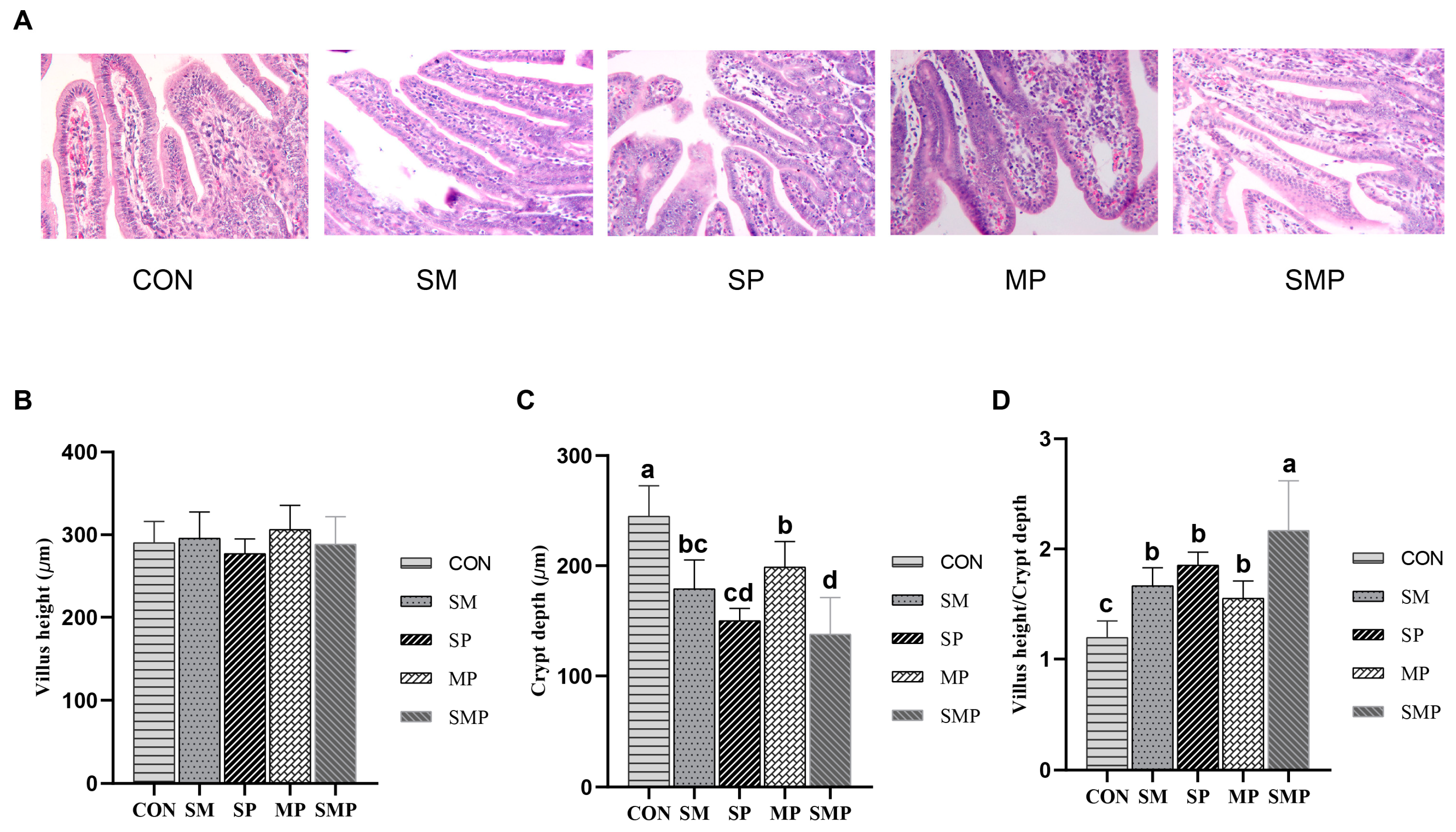 Animals 13 01093 g001 Animals 13 01093 g001