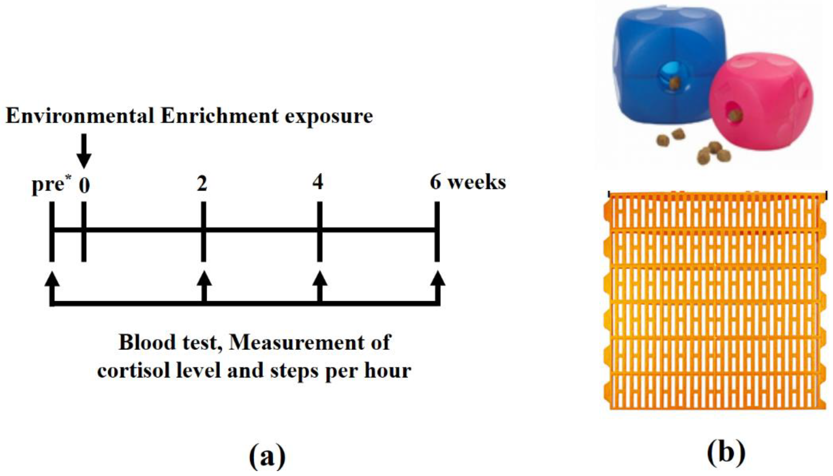 Animals 13 01095 g001