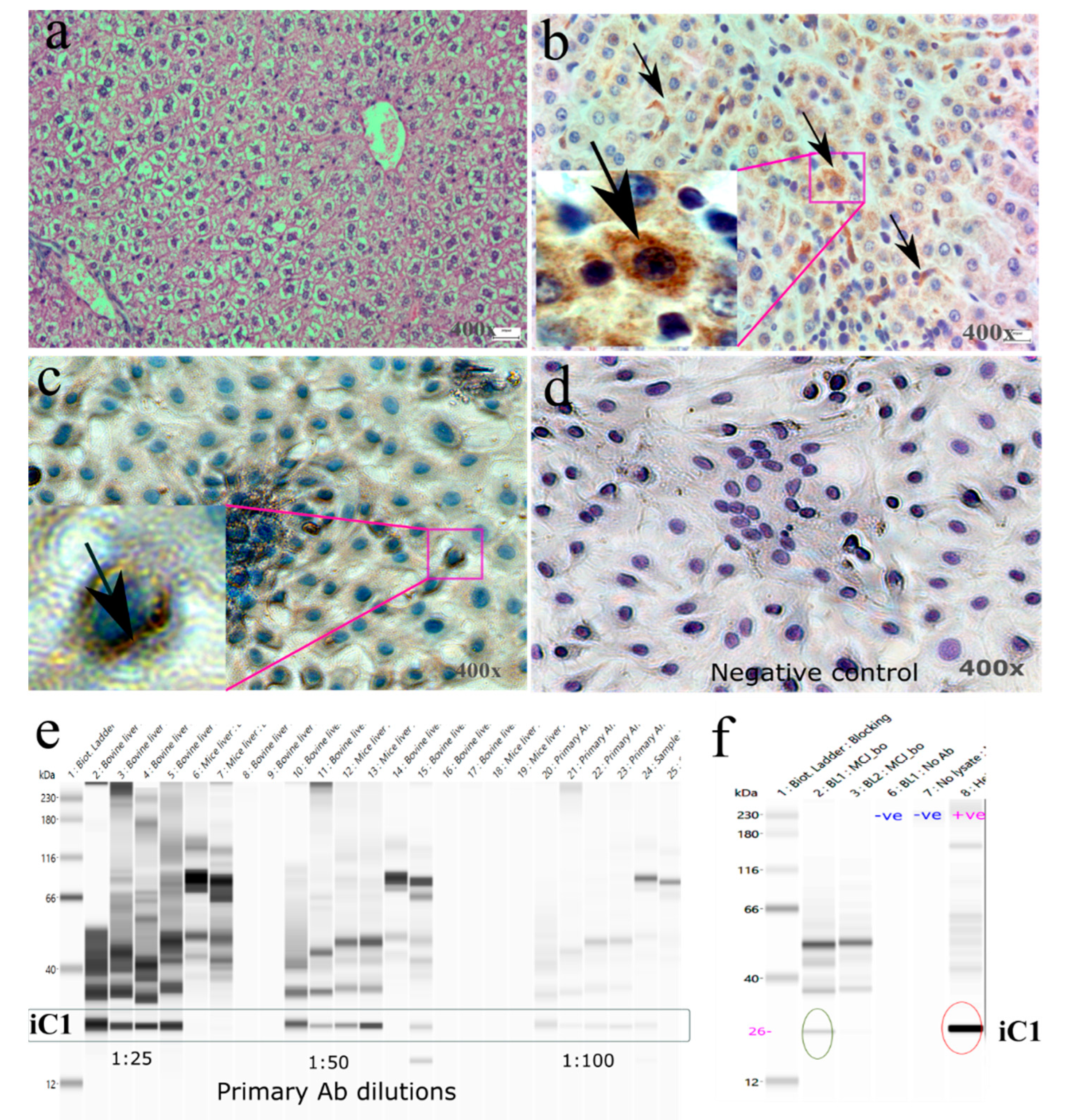 Animals 13 01101 g003 Animals 13 01101 g003