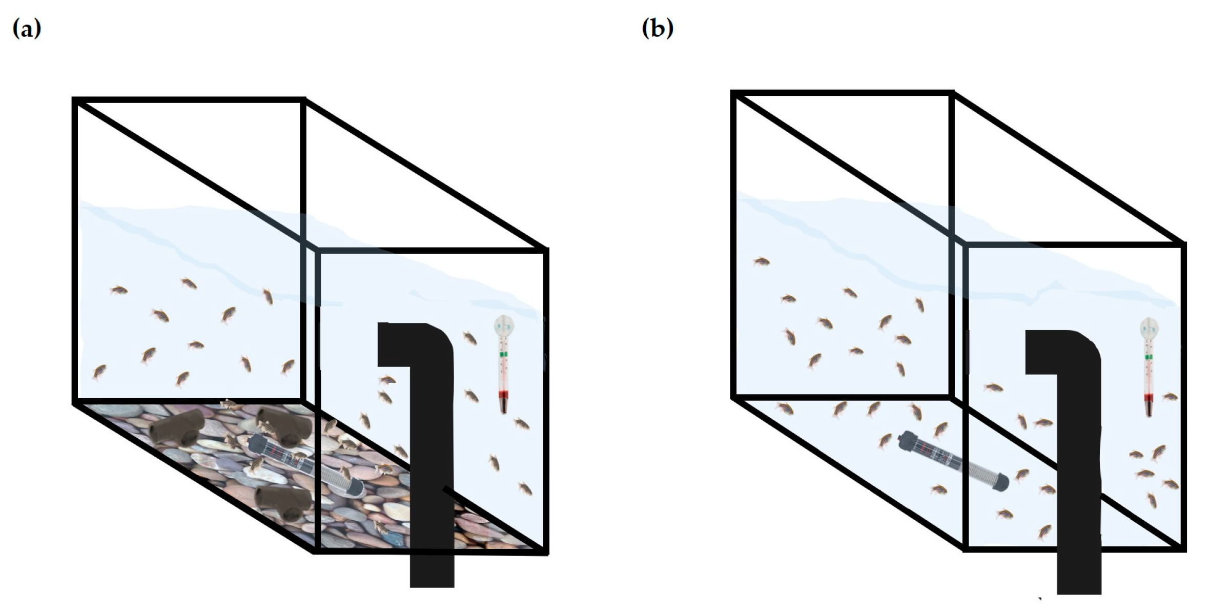 Animals 13 01120 g001 Animals 13 01120 g001