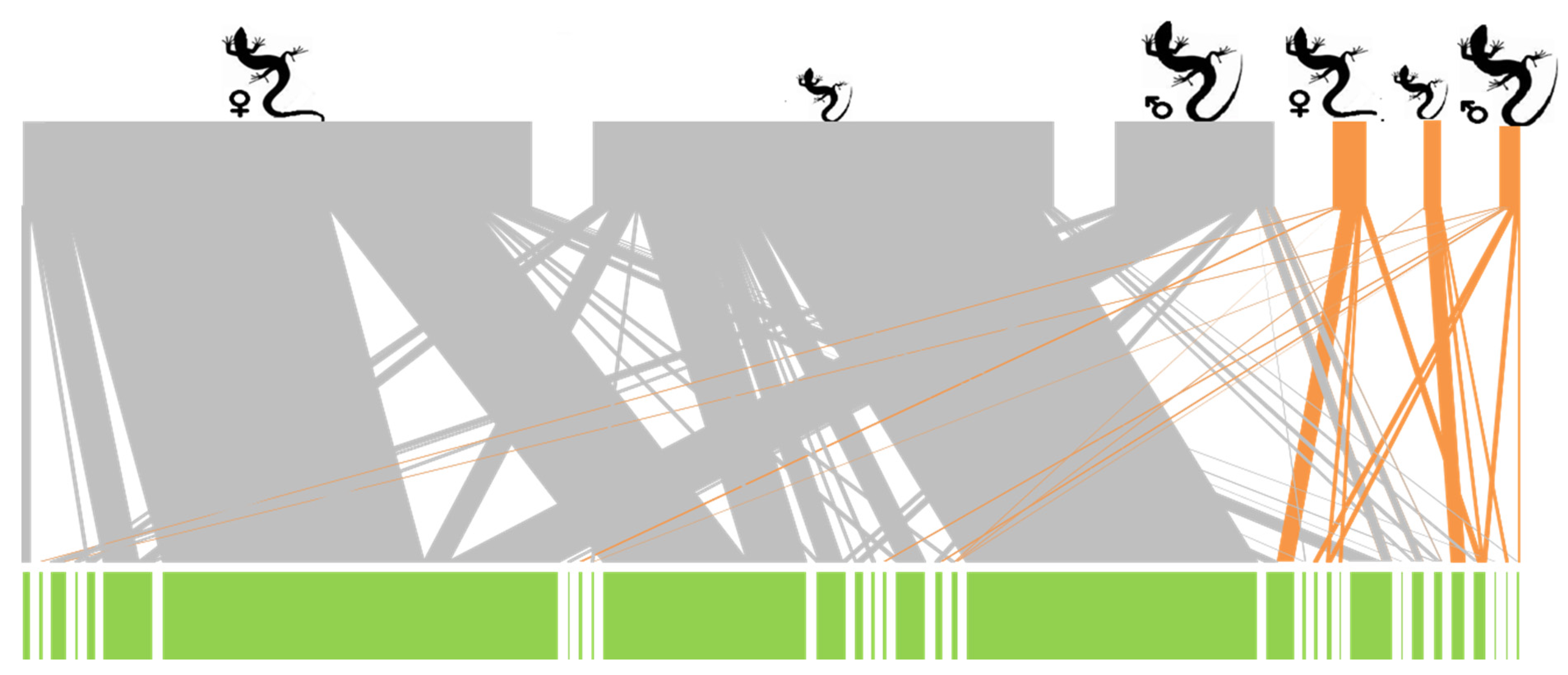 Animals 13 01122 g002 Animals 13 01122 g002