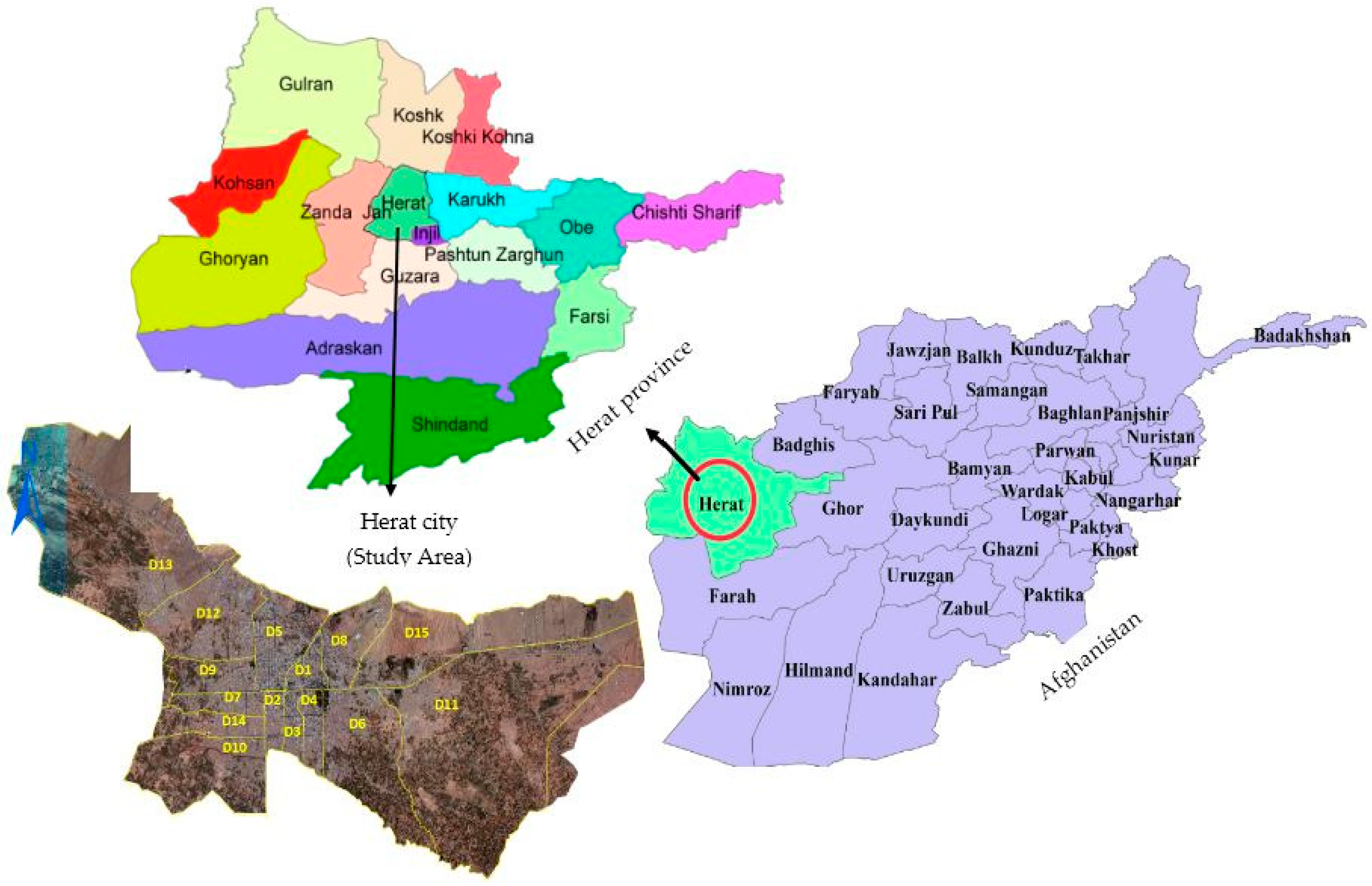 Evaluation of Dynamics, Demography and Estimation of Free-Roaming 