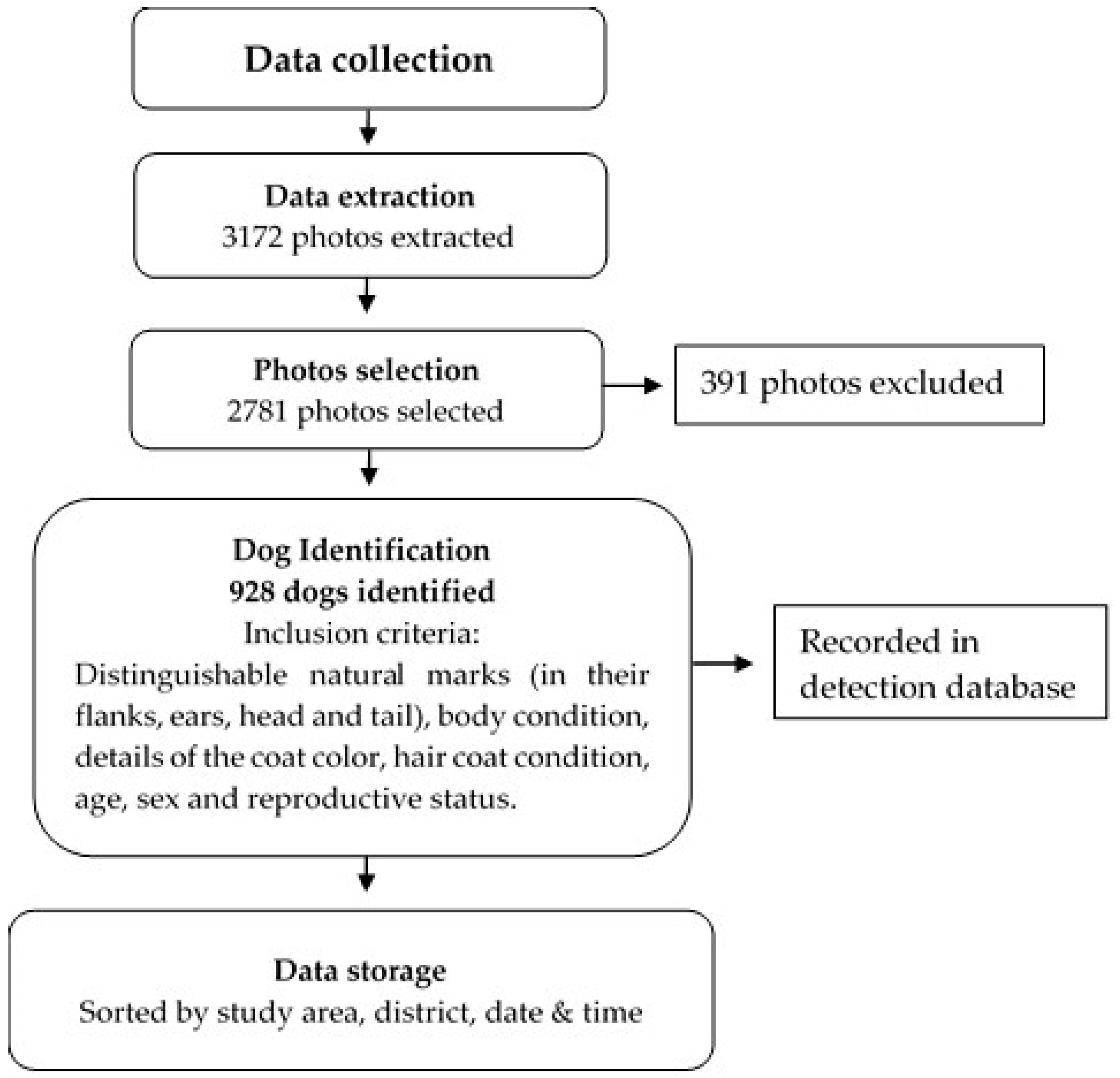 Animals 13 01126 g002