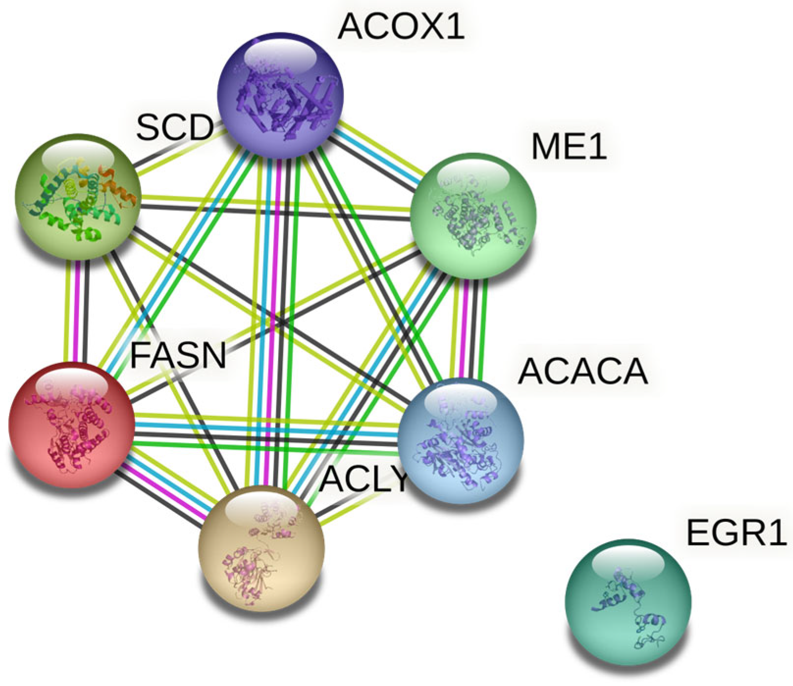 Animals 13 01138 g001 Animals 13 01138 g001