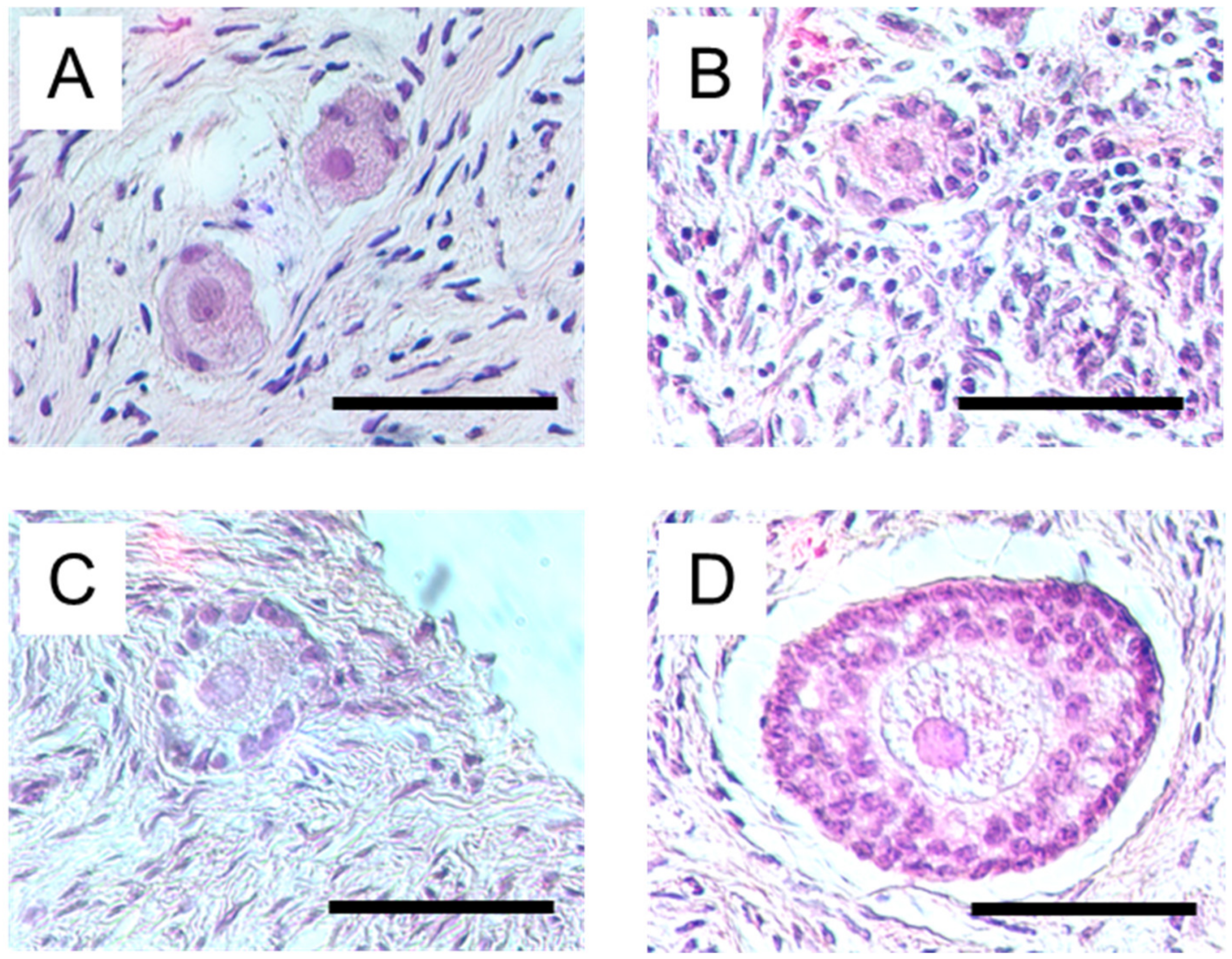 Animals 13 01141 g001 Animals 13 01141 g001