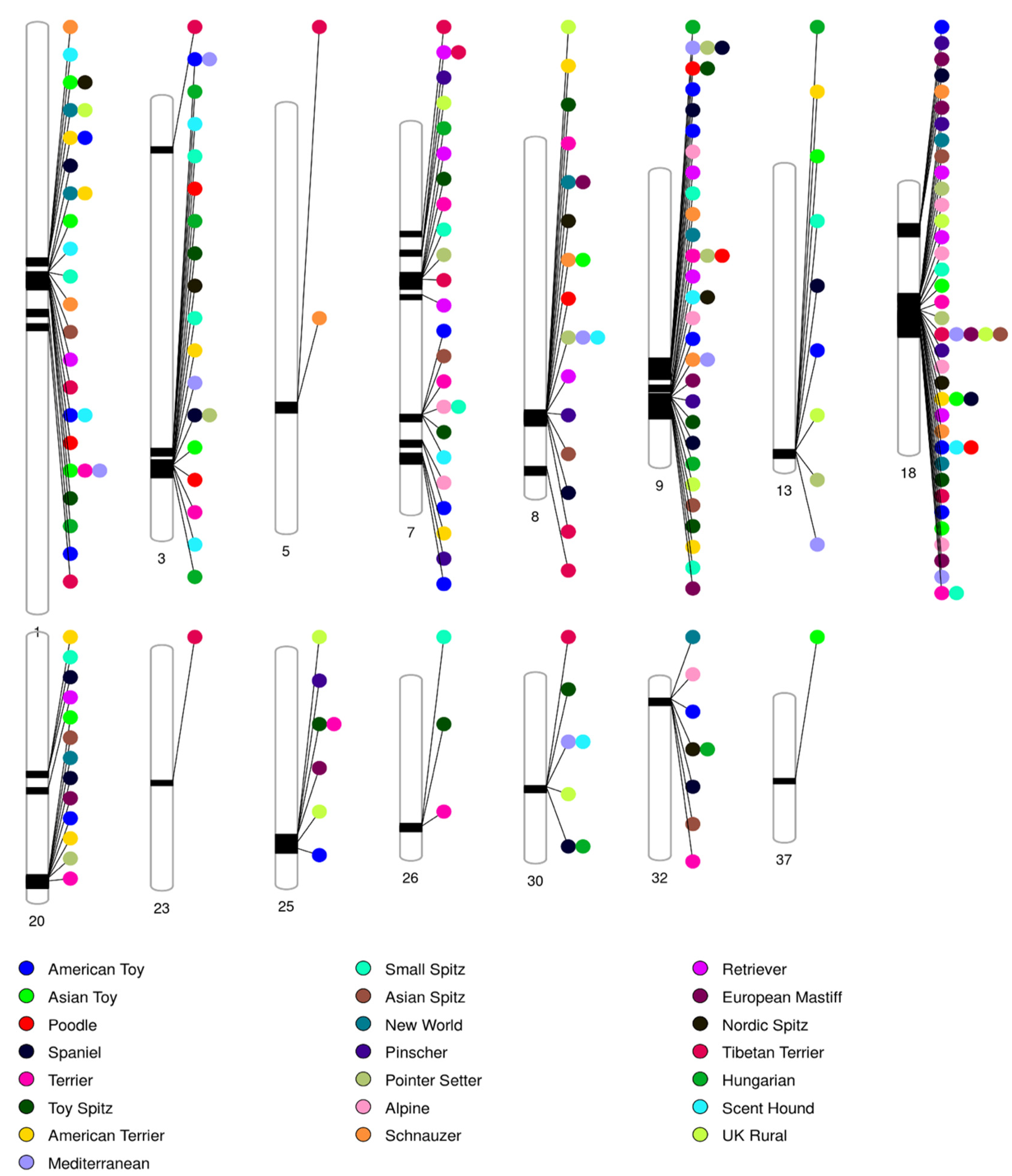 Animals 13 01149 g002 Animals 13 01149 g002