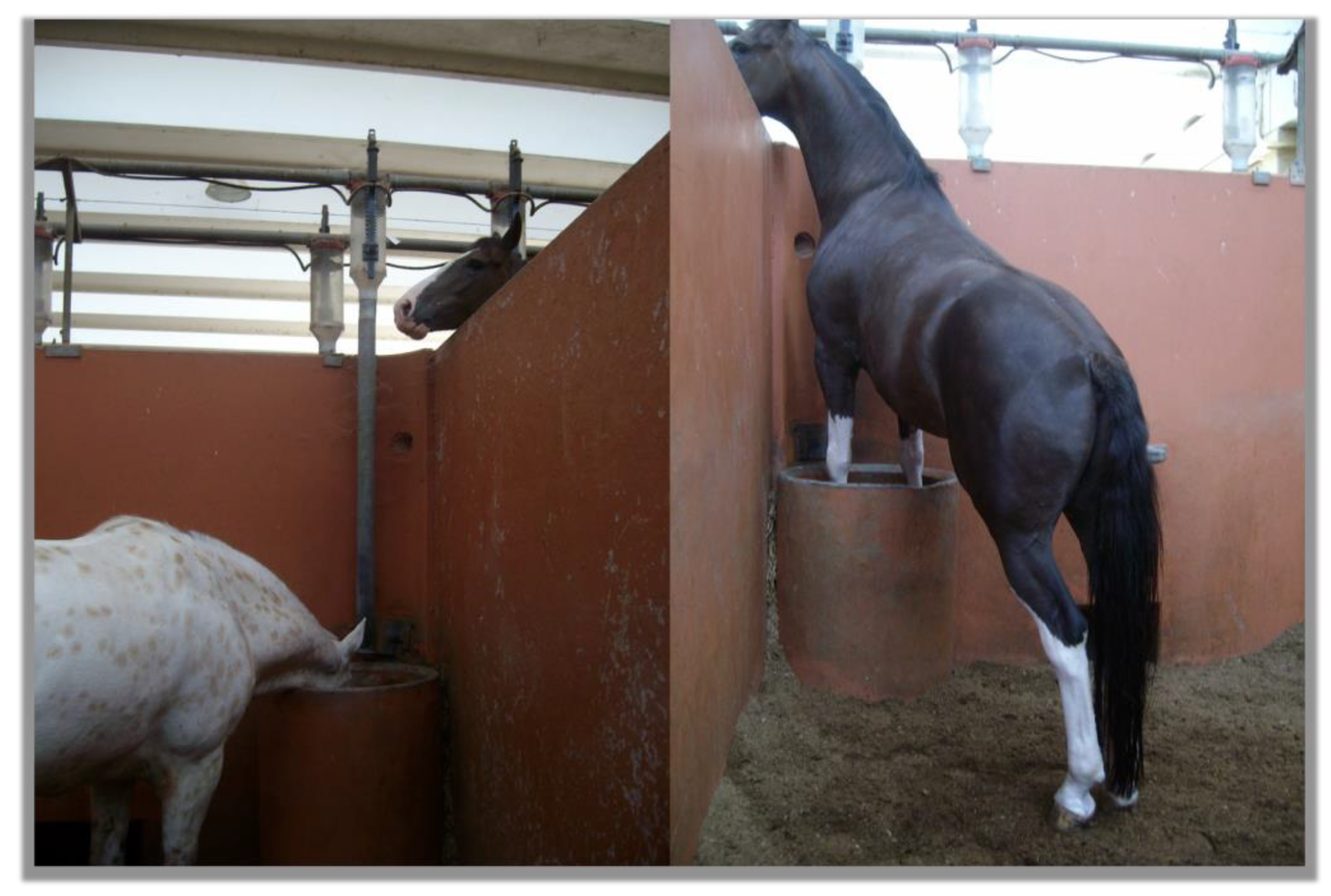 Animals 13 01151 g006