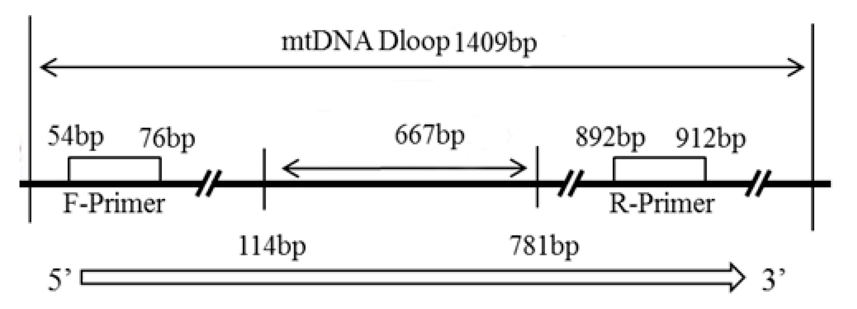 Animals 13 01156 g002