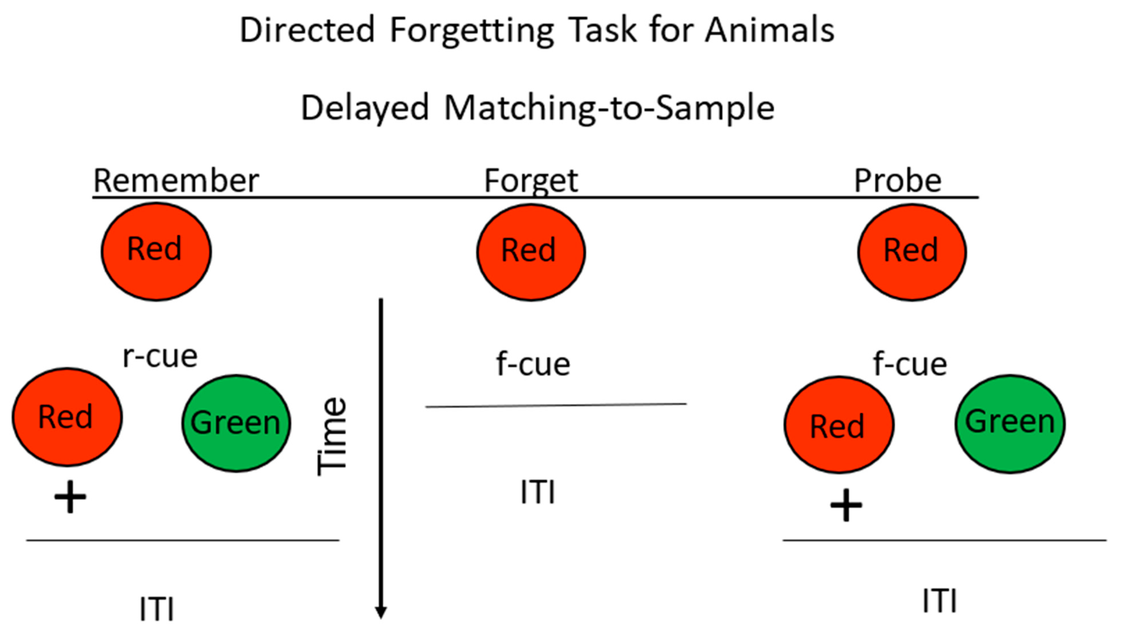 Animals 13 01165 g006