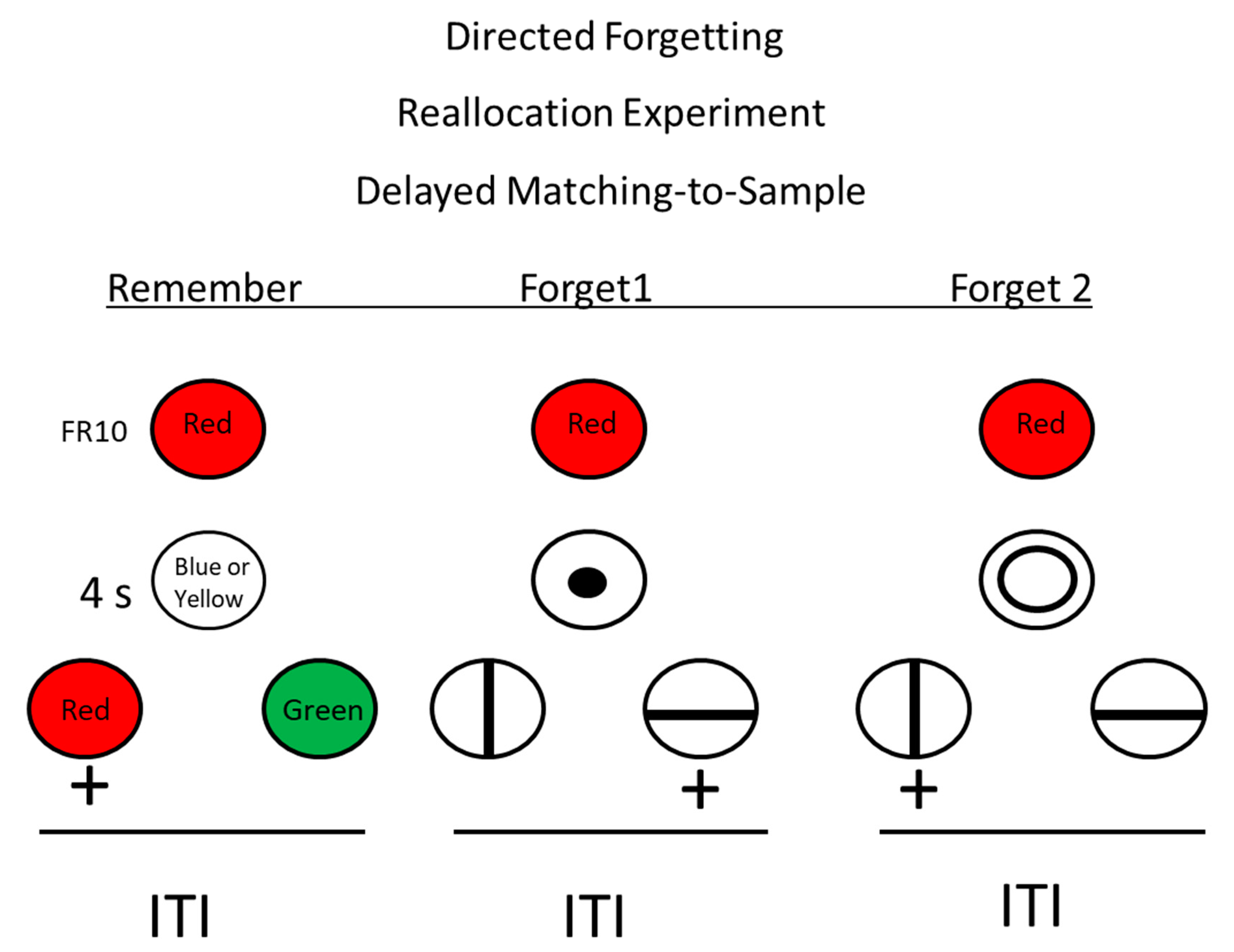 Animals 13 01165 g008