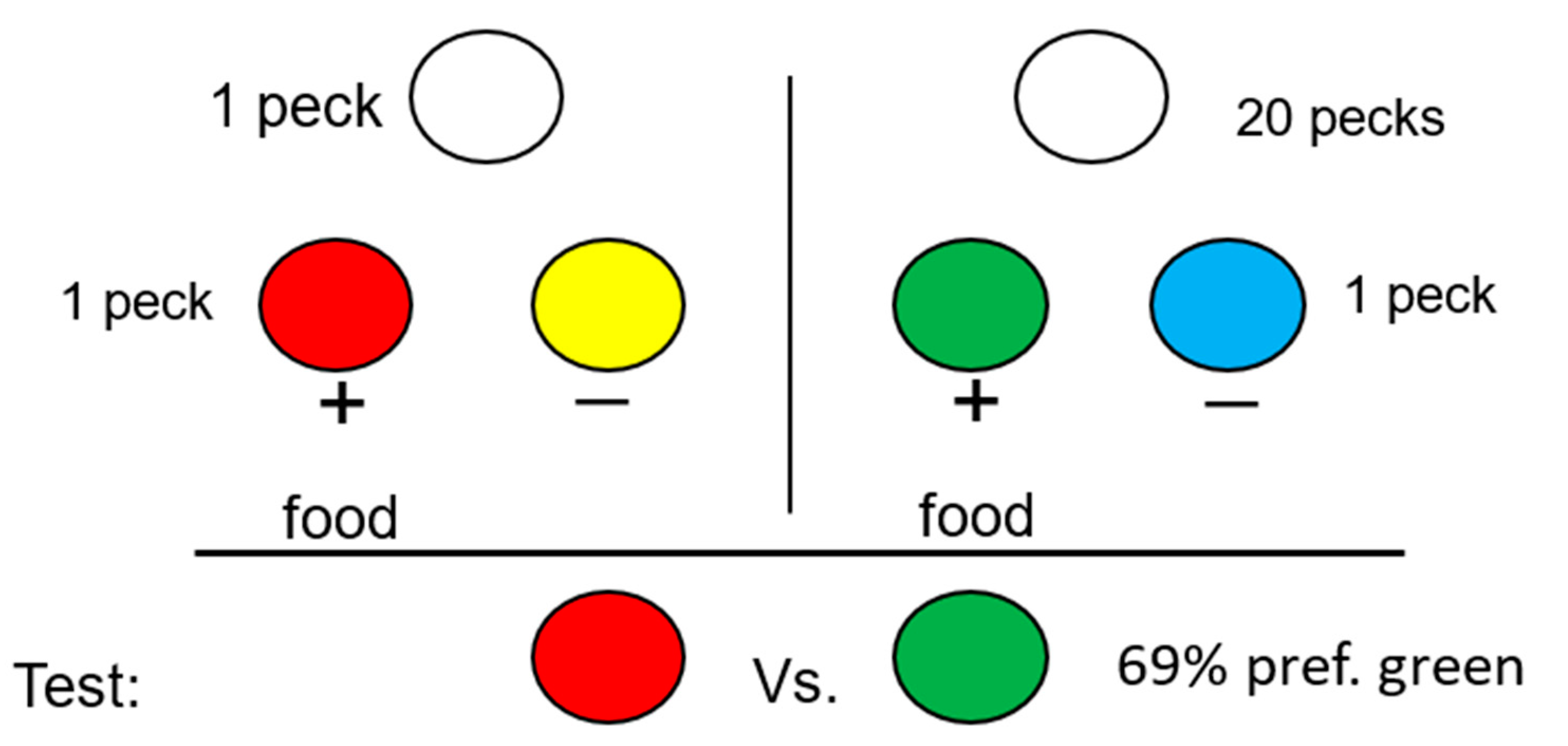 Animals 13 01165 g009