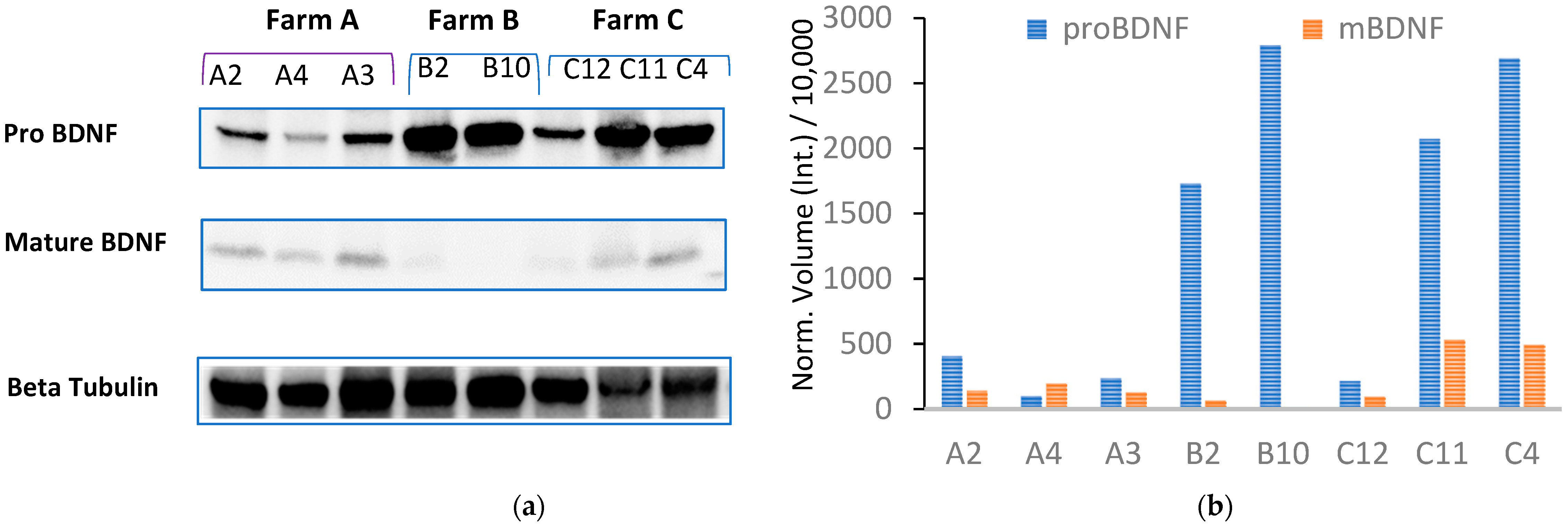 Animals 13 01167 g004