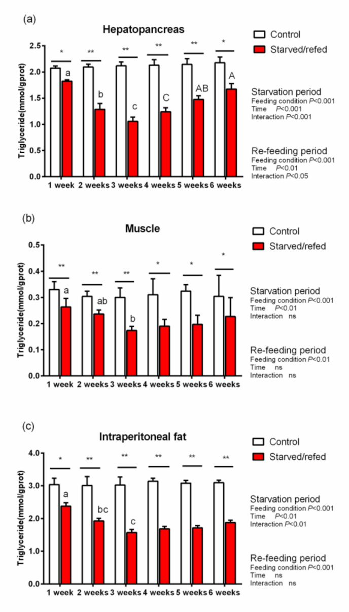 Animals 13 01168 g004