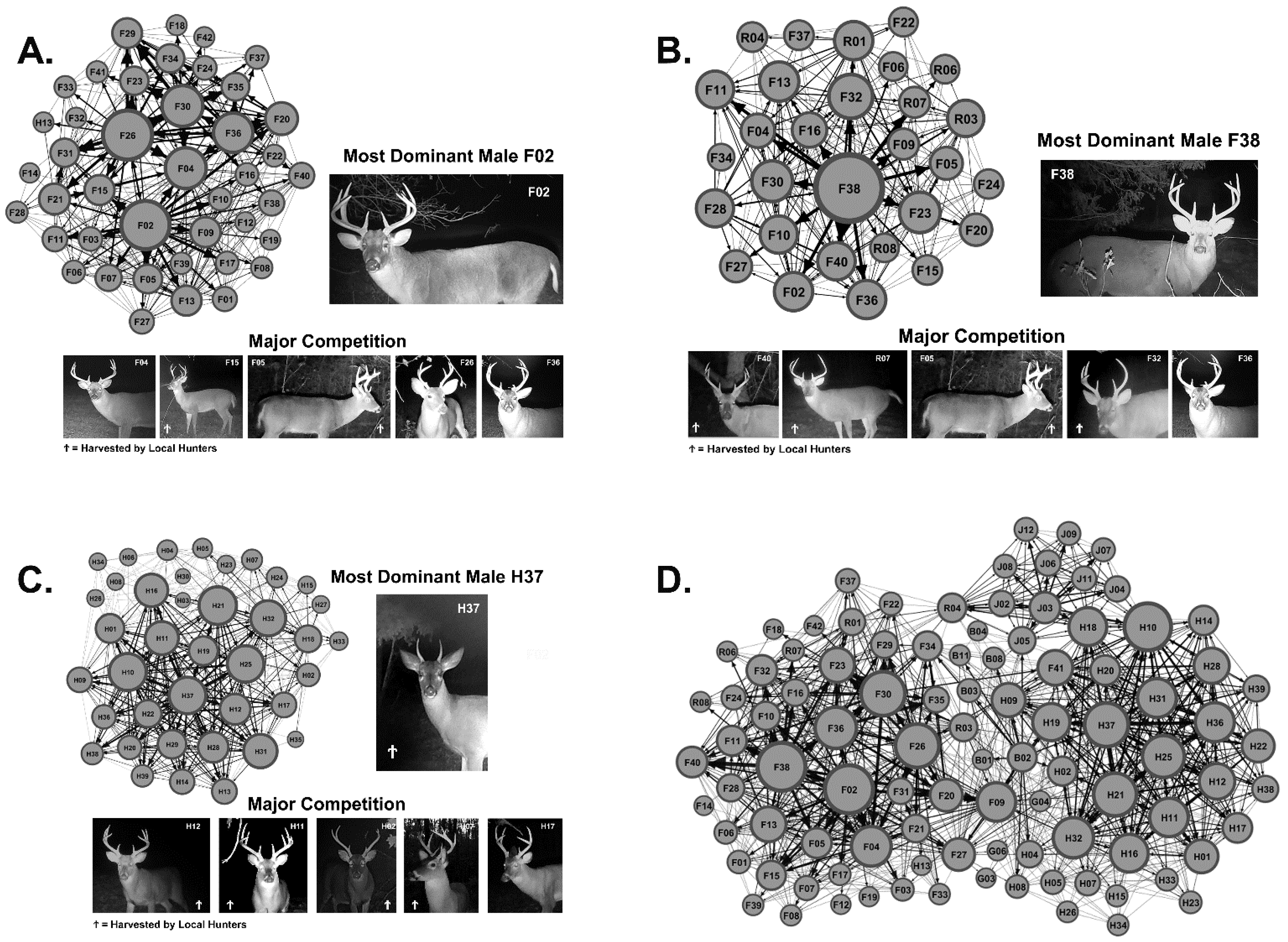 Animals 13 01171 g002 Animals 13 01171 g002