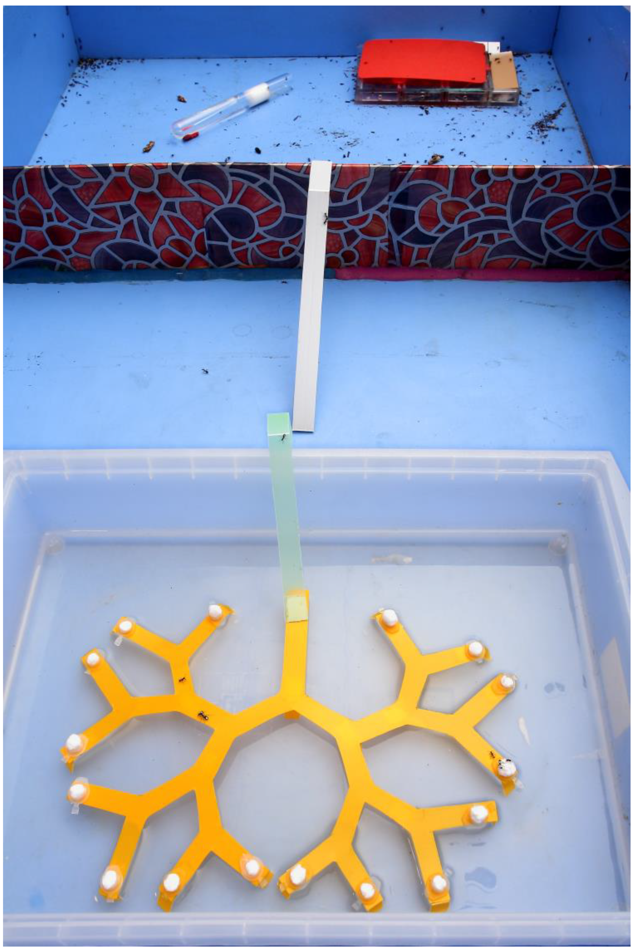 Animals 13 01174 g002 Animals 13 01174 g002