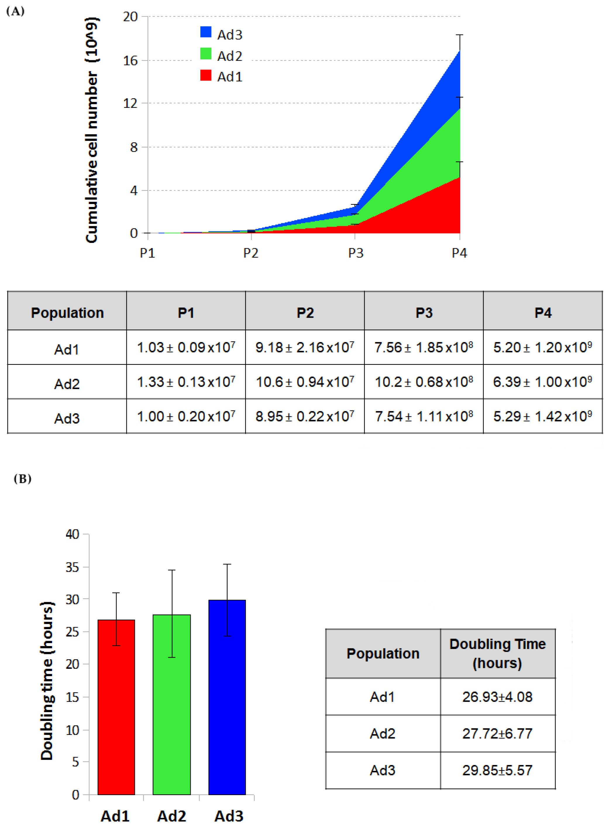 Animals 13 01175 g001