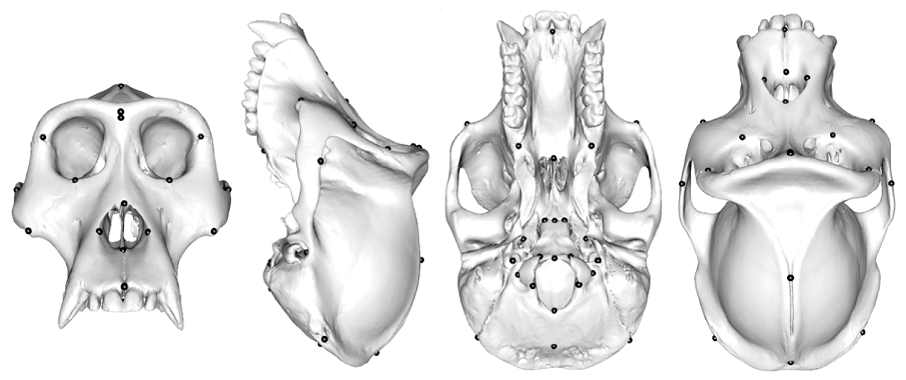 Animals 13 01179 g001 Animals 13 01179 g001