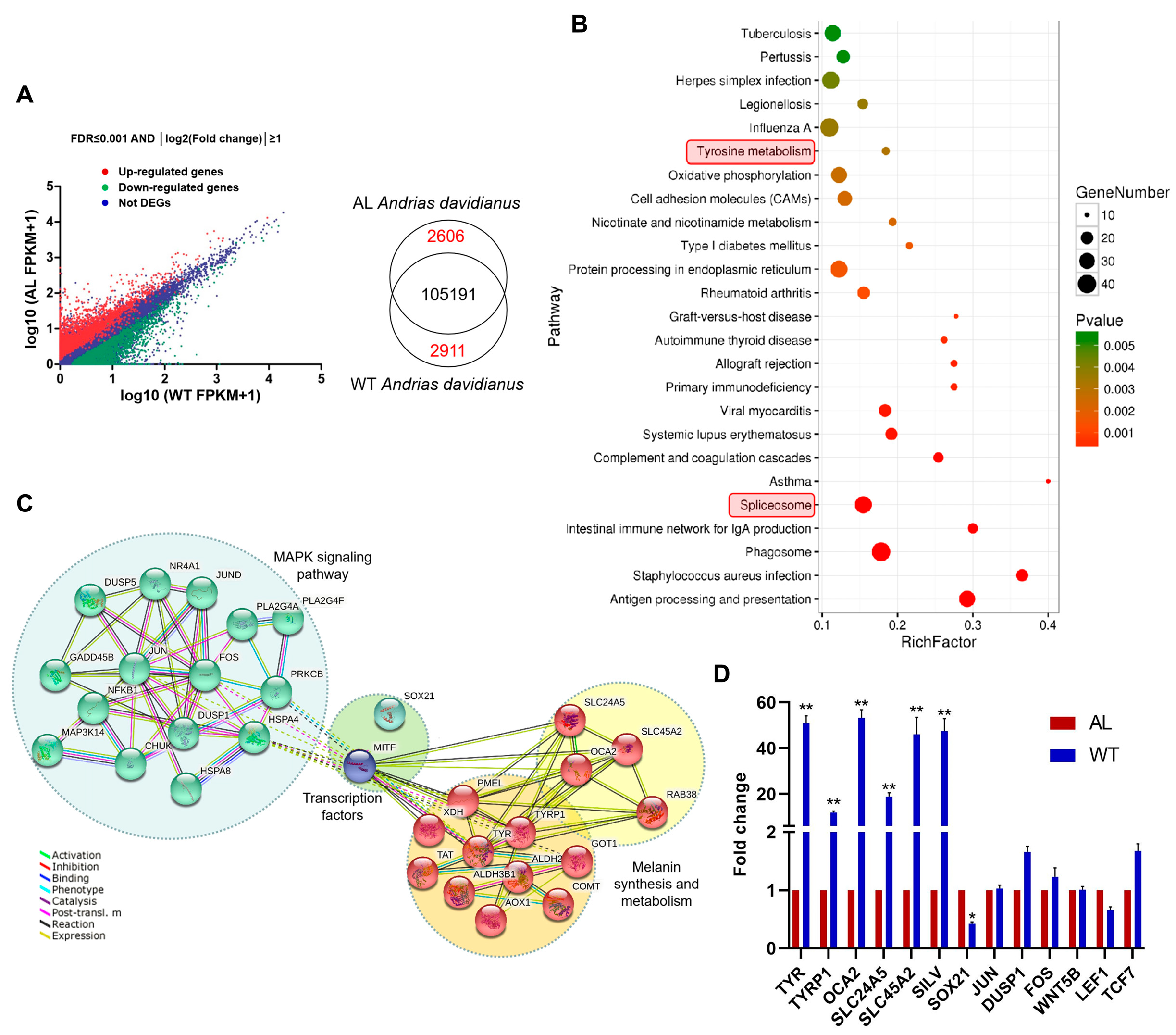 Animals 13 01181 g002 Animals 13 01181 g002