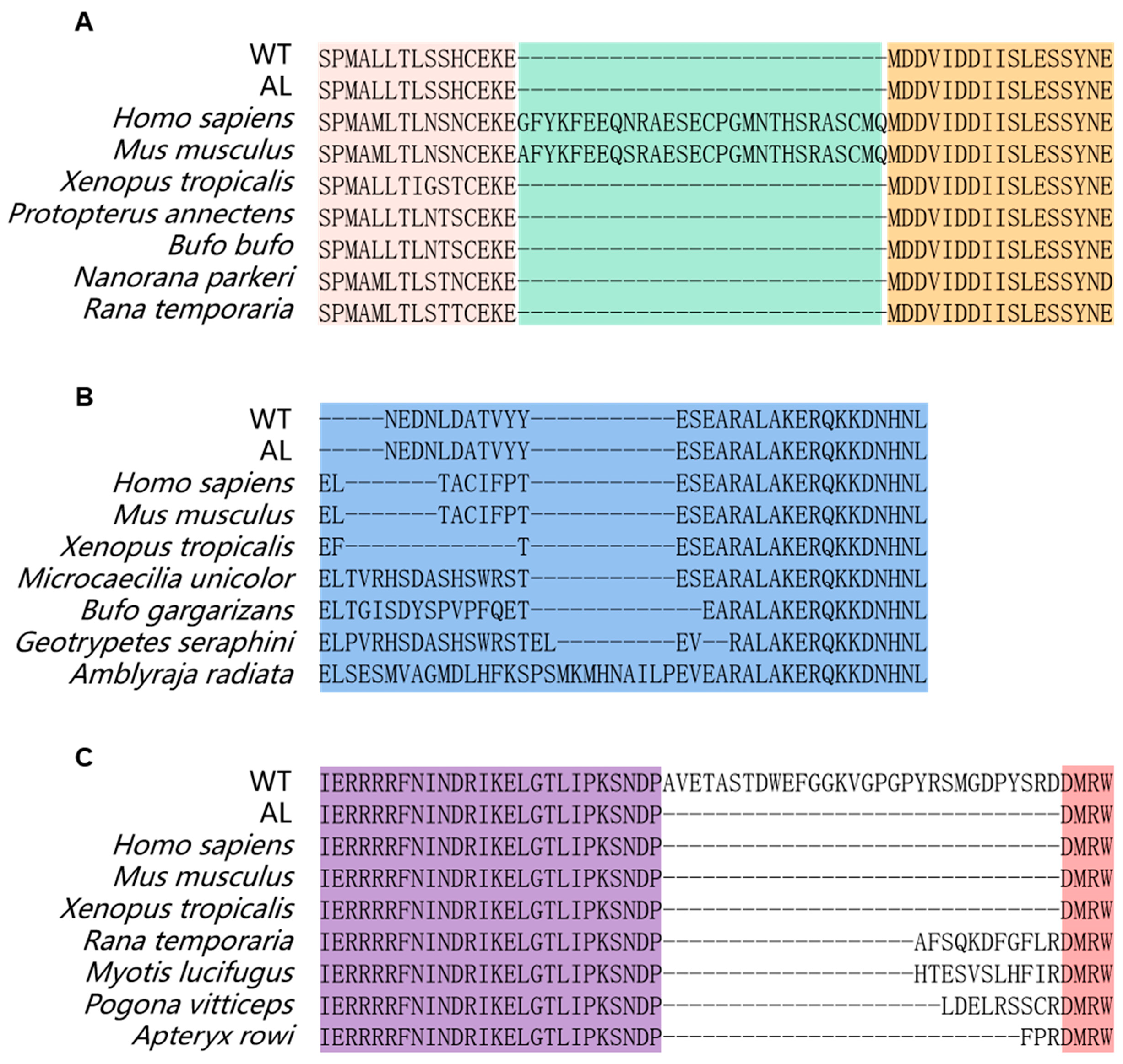 Animals 13 01181 g006 Animals 13 01181 g006