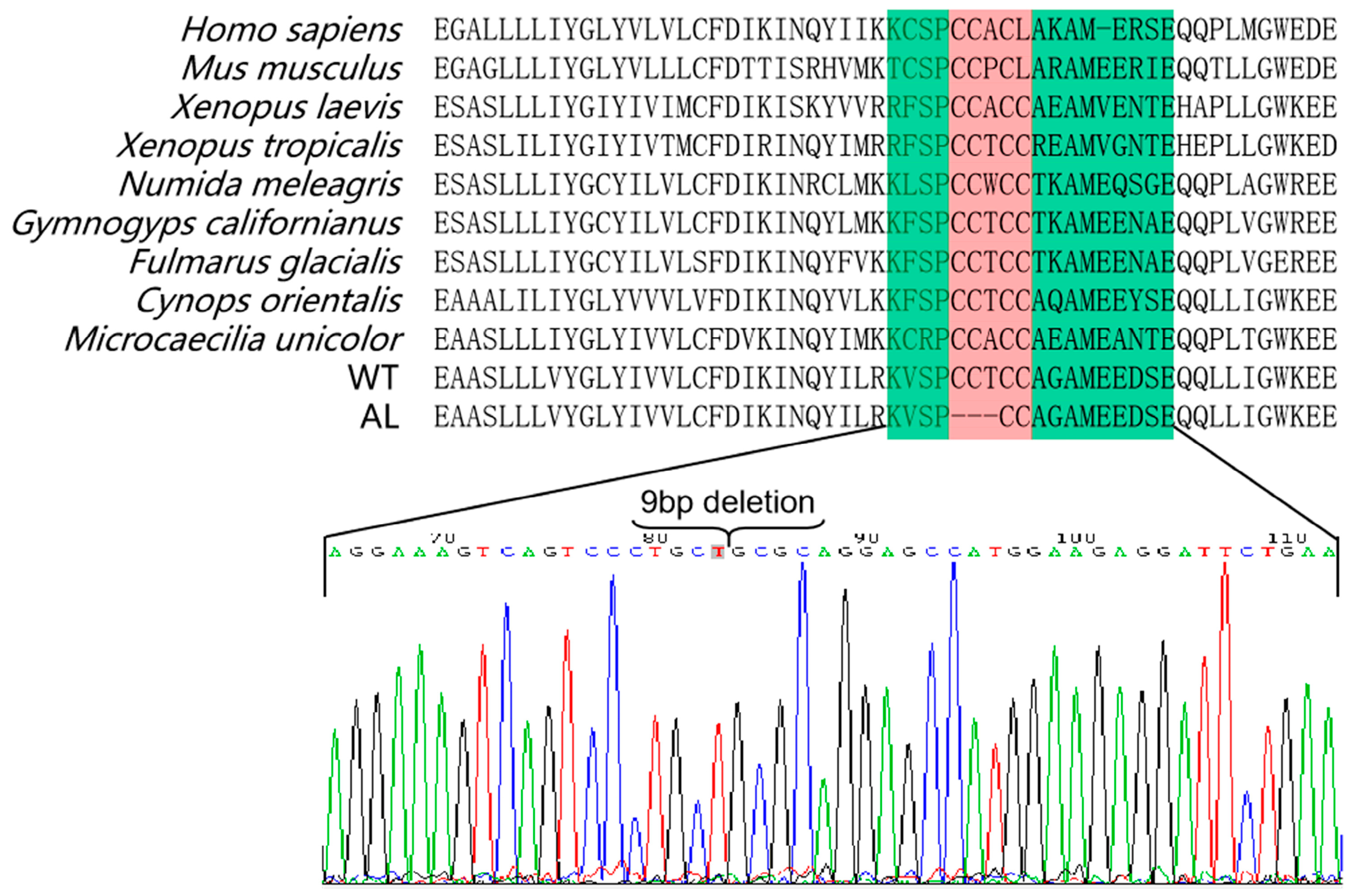 Animals 13 01181 g007 Animals 13 01181 g007