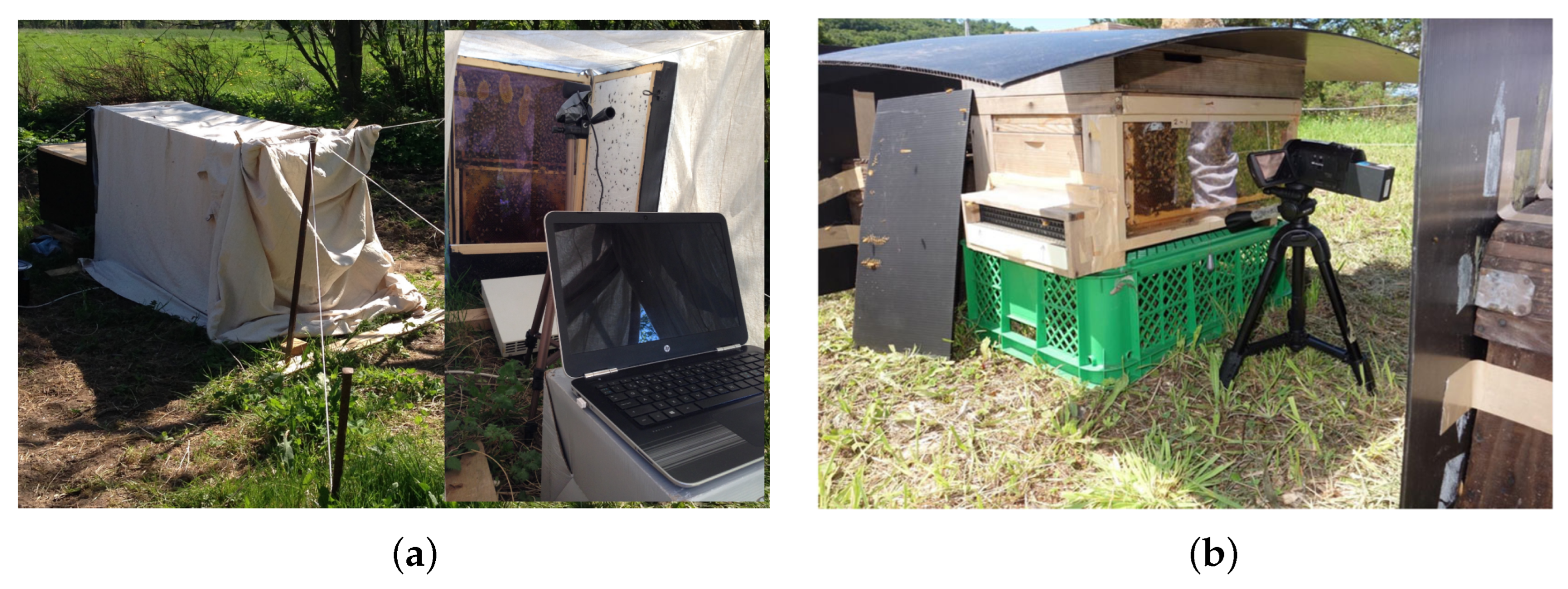 Animals 13 01182 g001