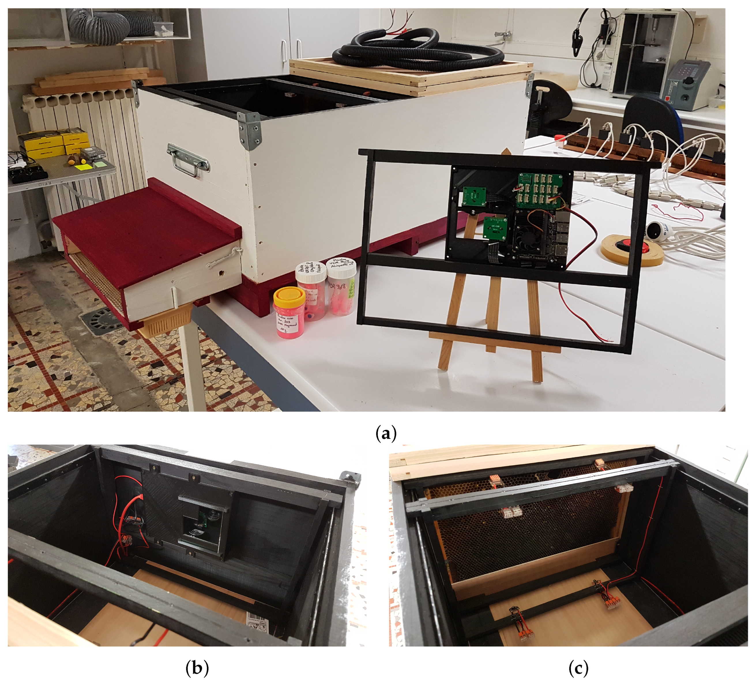 Animals 13 01182 g002