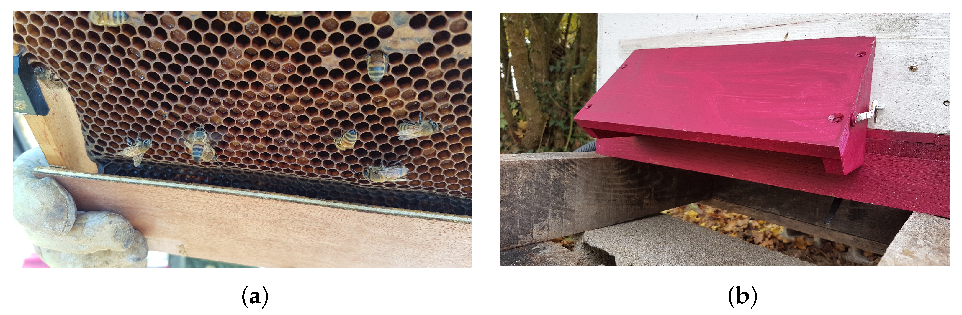 Animals 13 01182 g003