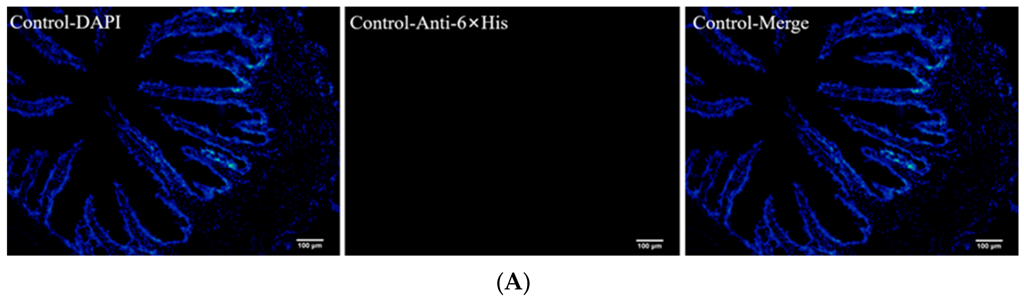 Animals 13 01183 g003a Animals 13 01183 g003a